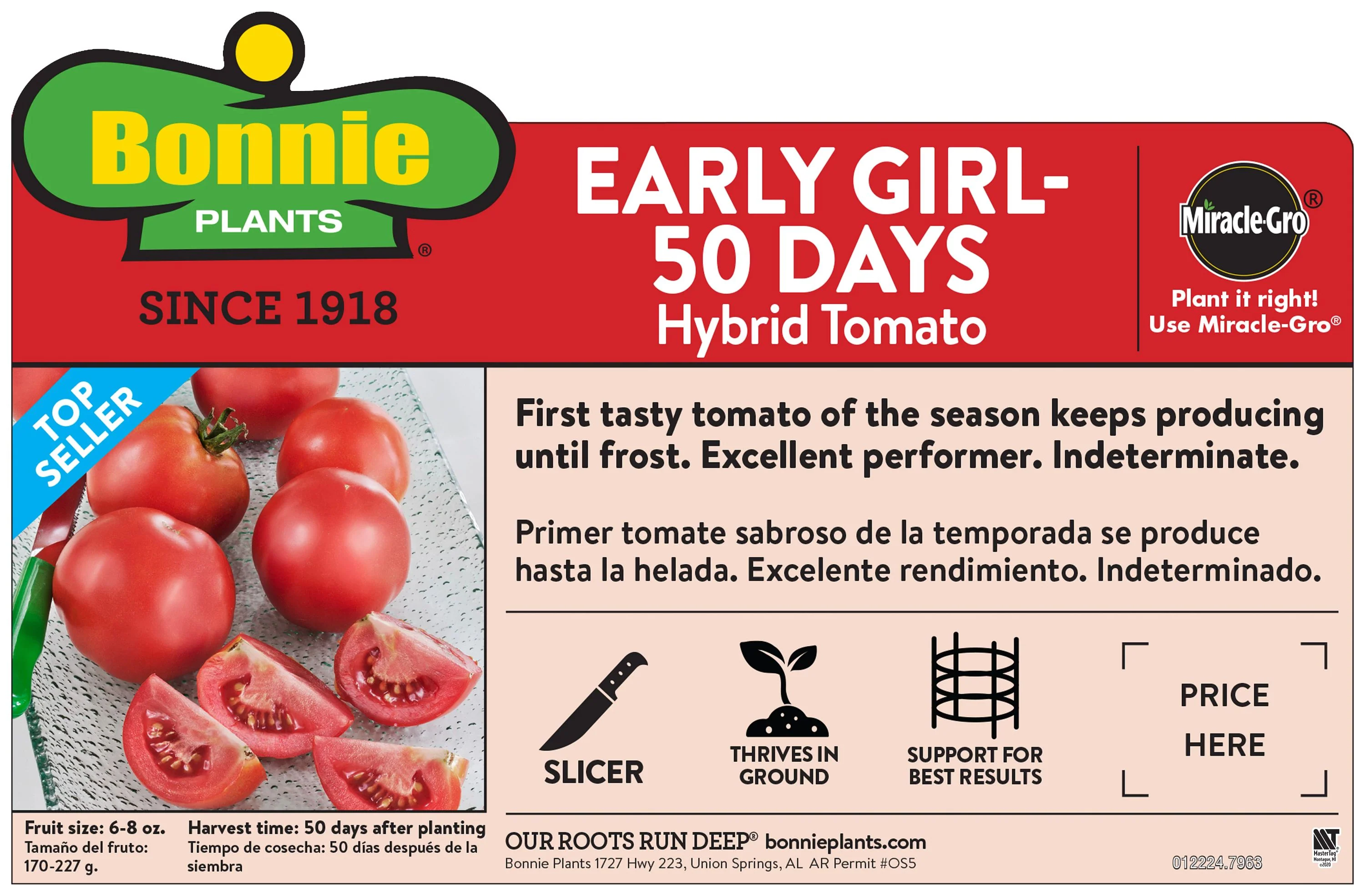 2.32 qt. Bush Early Girl Tomato - Image 3