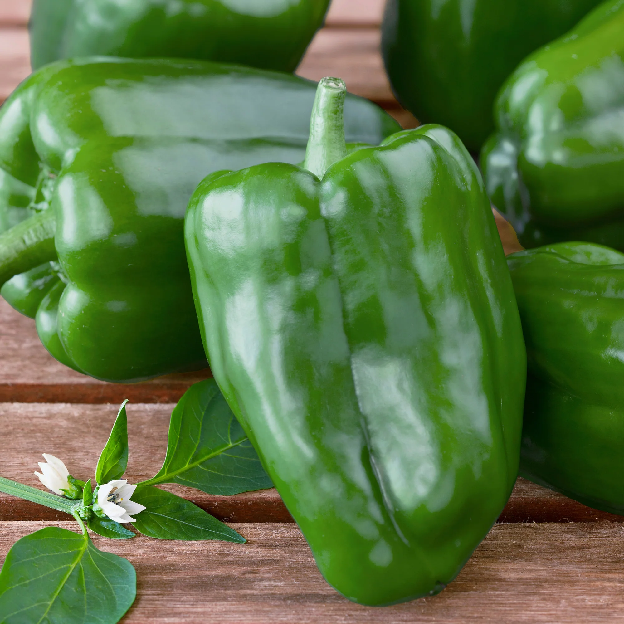 Bell Pepper Plugs (3 Pack) - Image 3