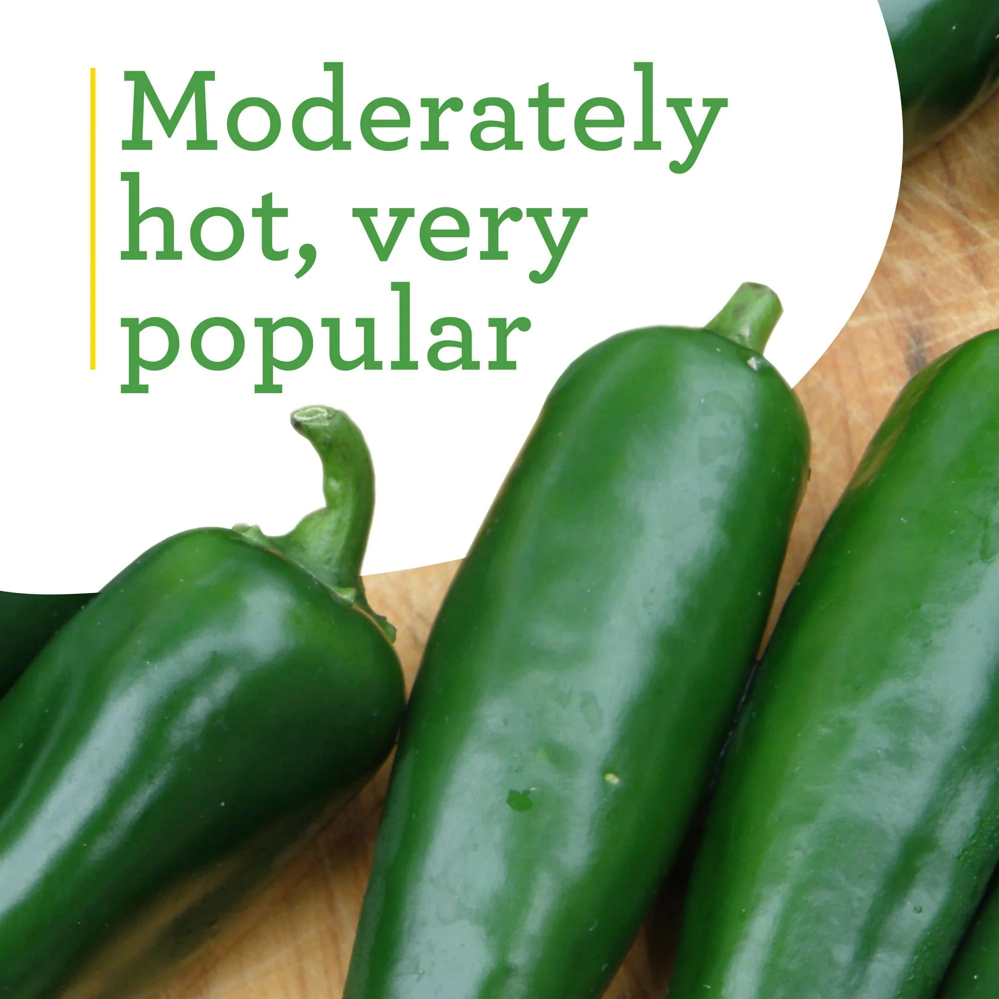 Jalapeño Pepper Plugs (3 Pack) - Image 5