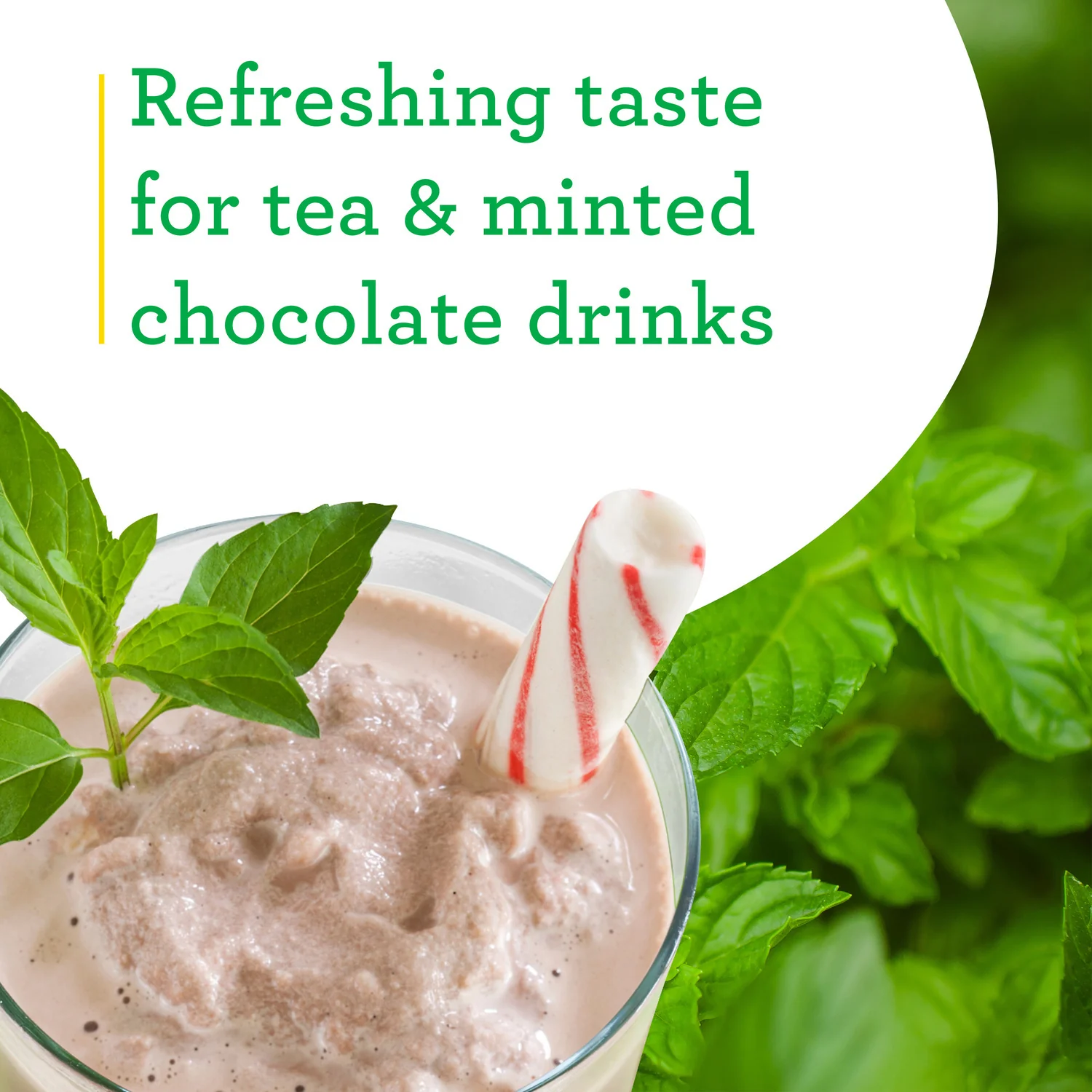 2.32 qt. Peppermint - Image 3