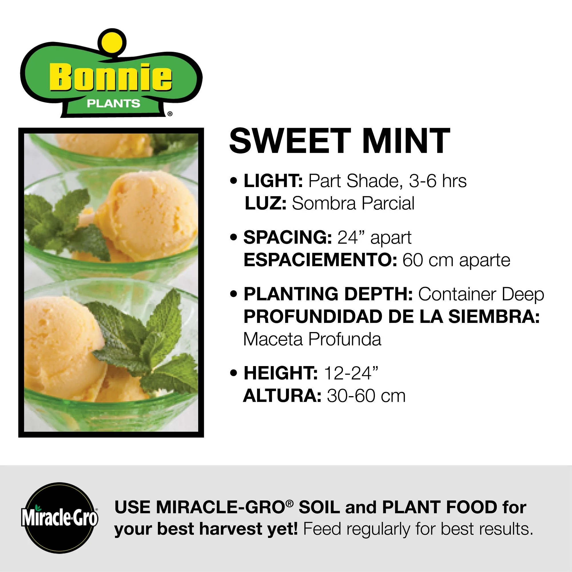 Bonnie Plants® Sweet Mint Plugs (3 Pack) - Image 7