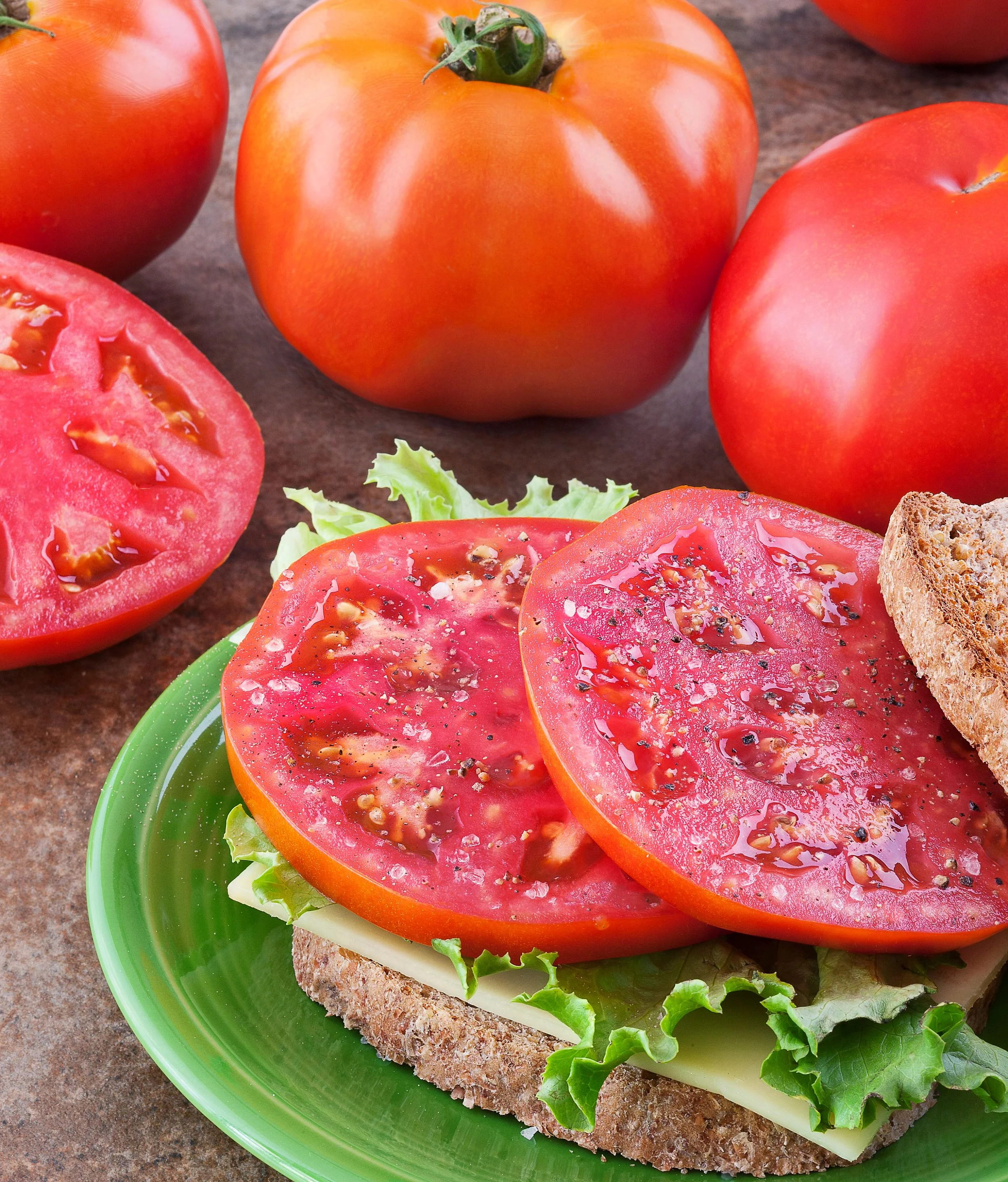Amelia Tomato (2 Pack) - Image 3