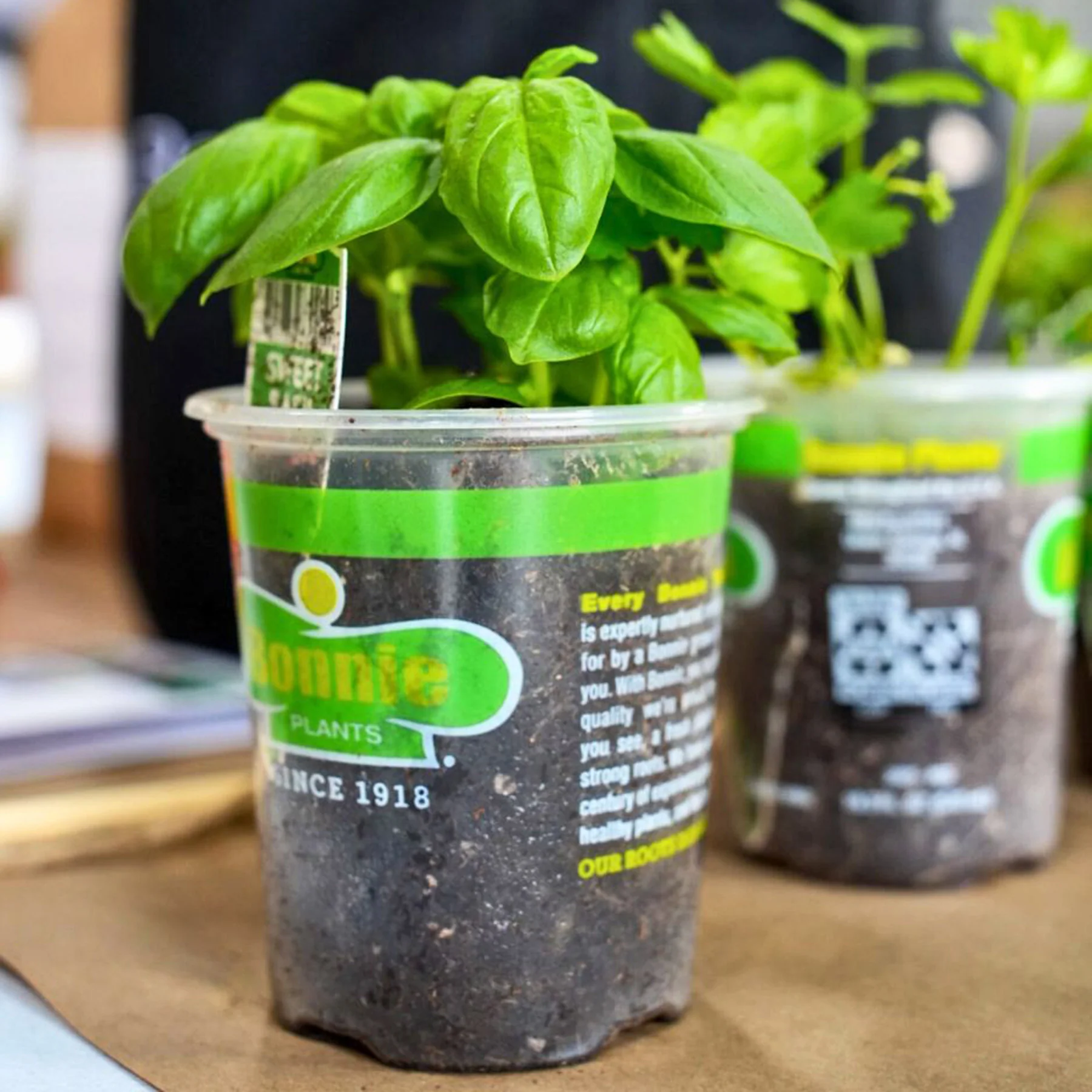 America Grows Garden Kit - Image 4