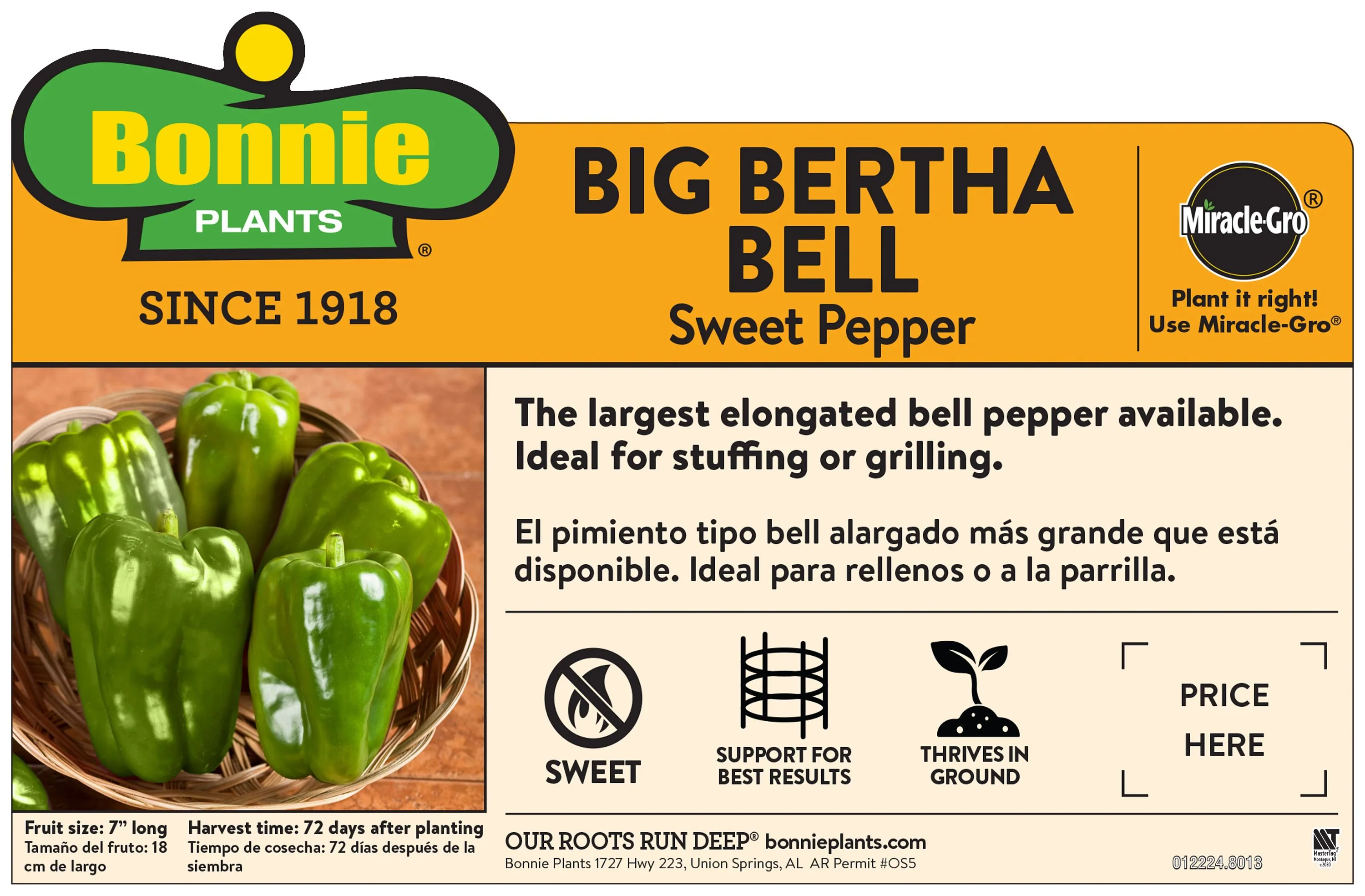 Big Bertha Bell Pepper (2 Pack) - Image 3