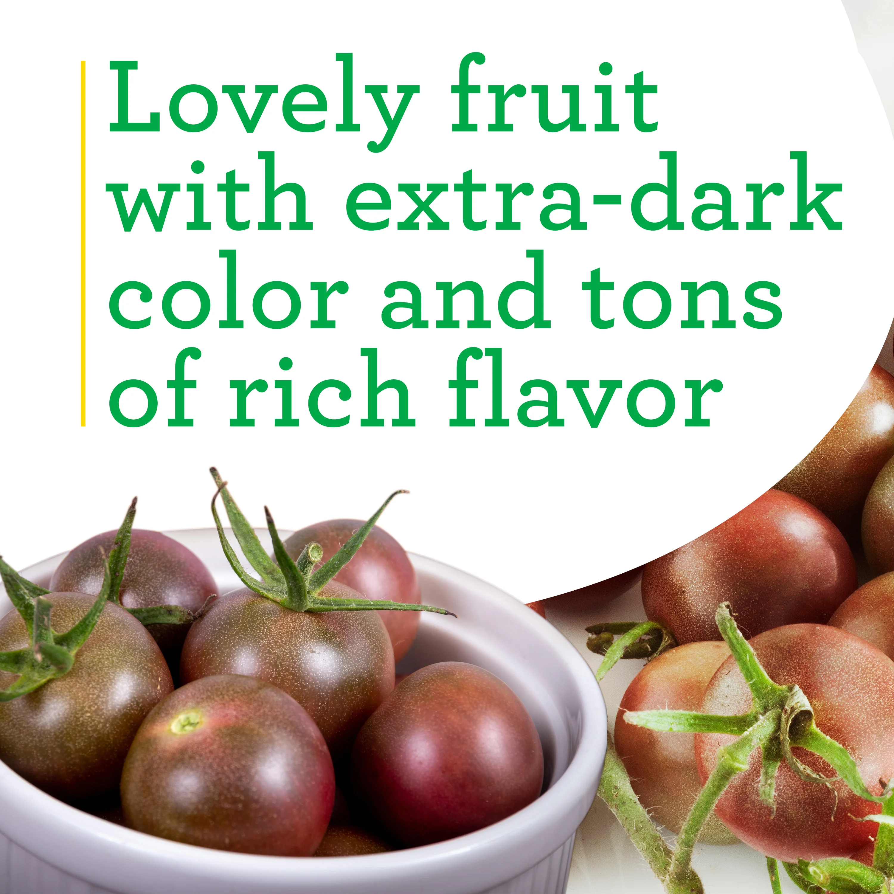 Black Cherry Tomato (2 Pack) - Image 4