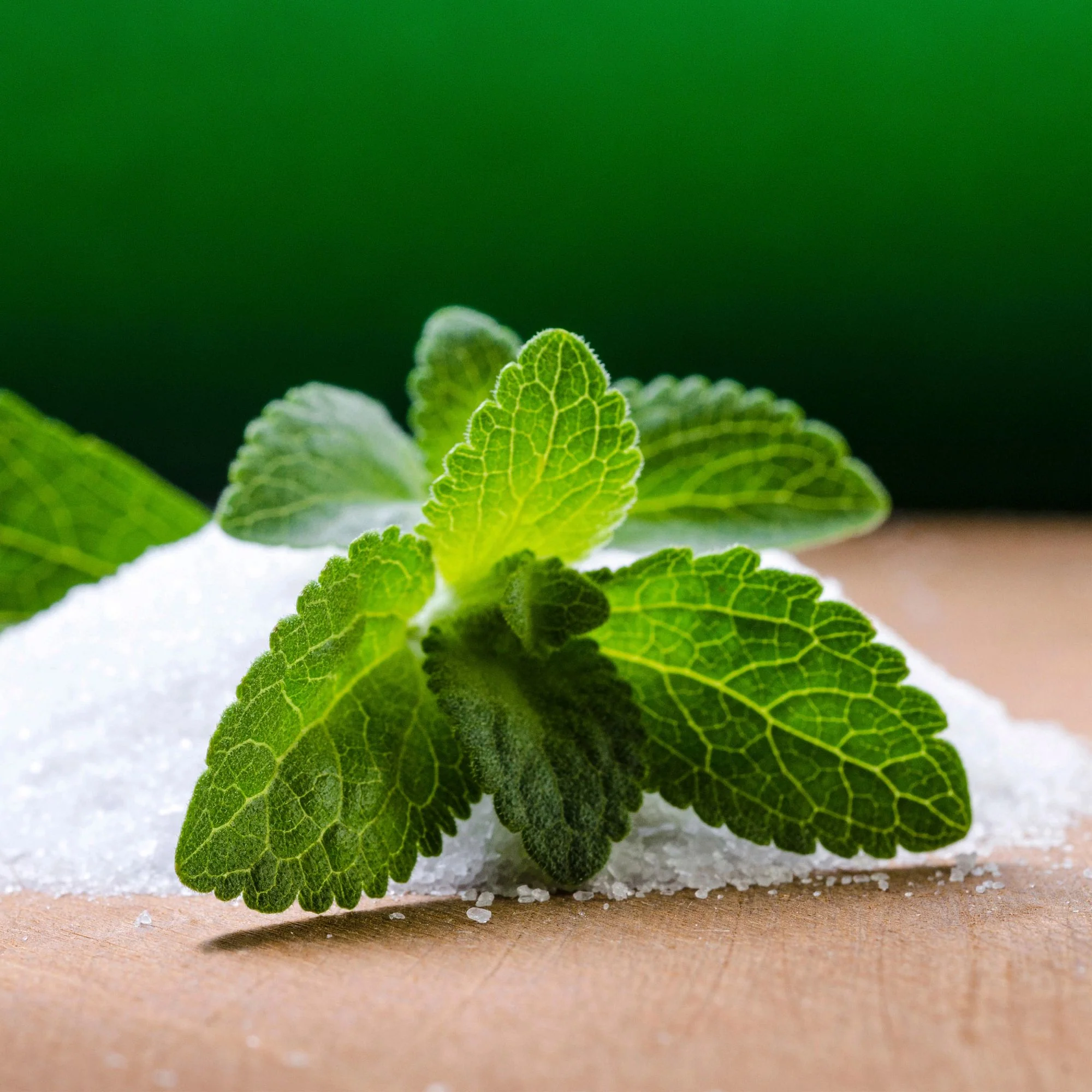 Stevia (2 Pack) - Image 3
