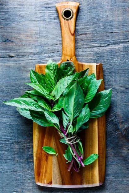Thai Basil (2 Pack) - Image 3