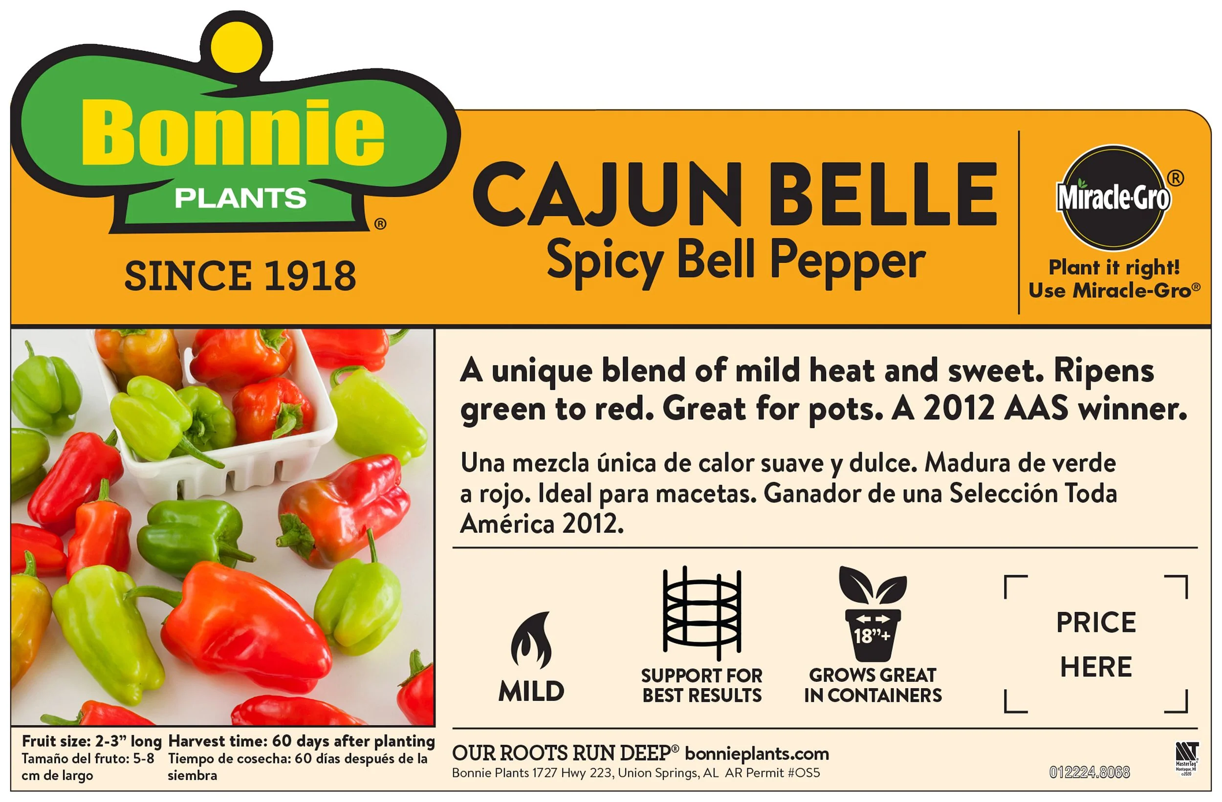 Cajun Bell Pepper (2 Pack) - Image 3