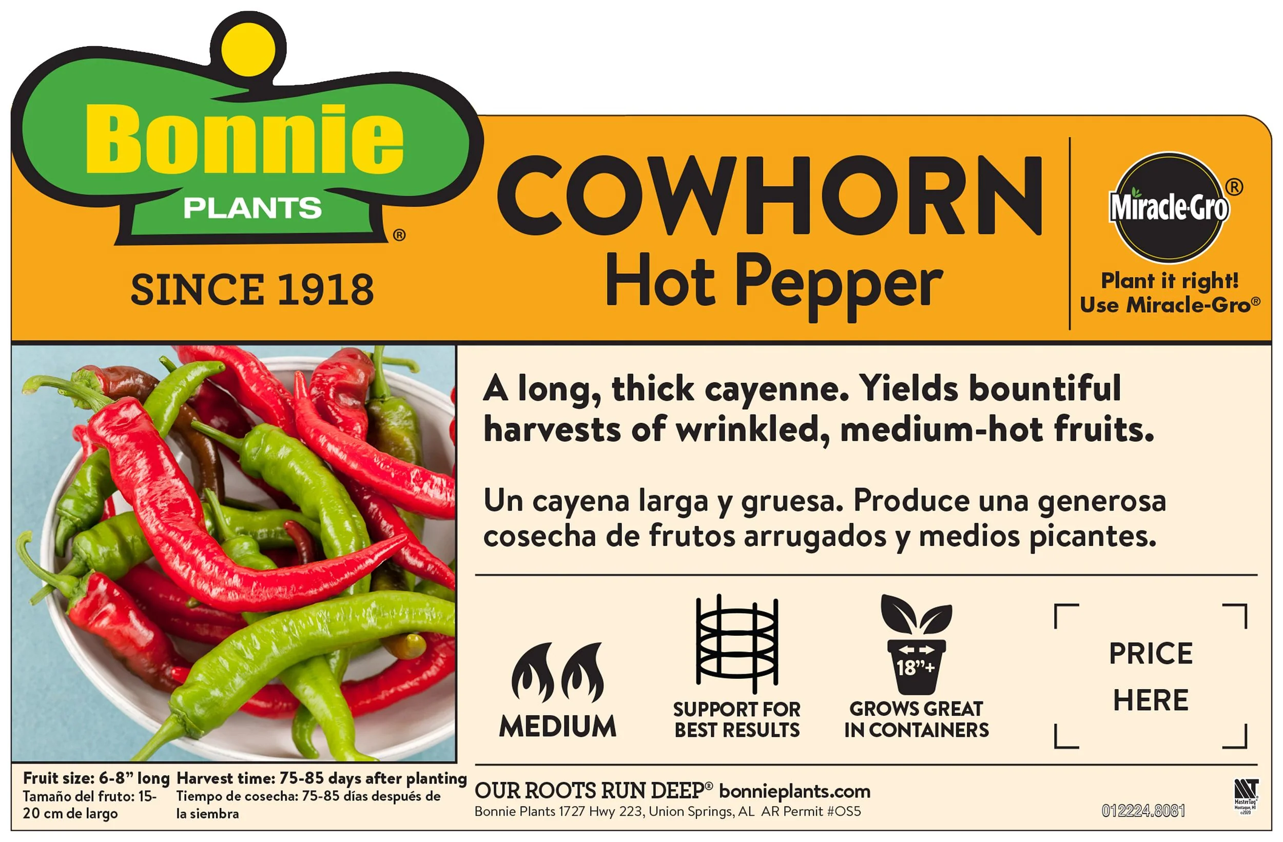 Cowhorn Pepper (2 Pack) - Image 3