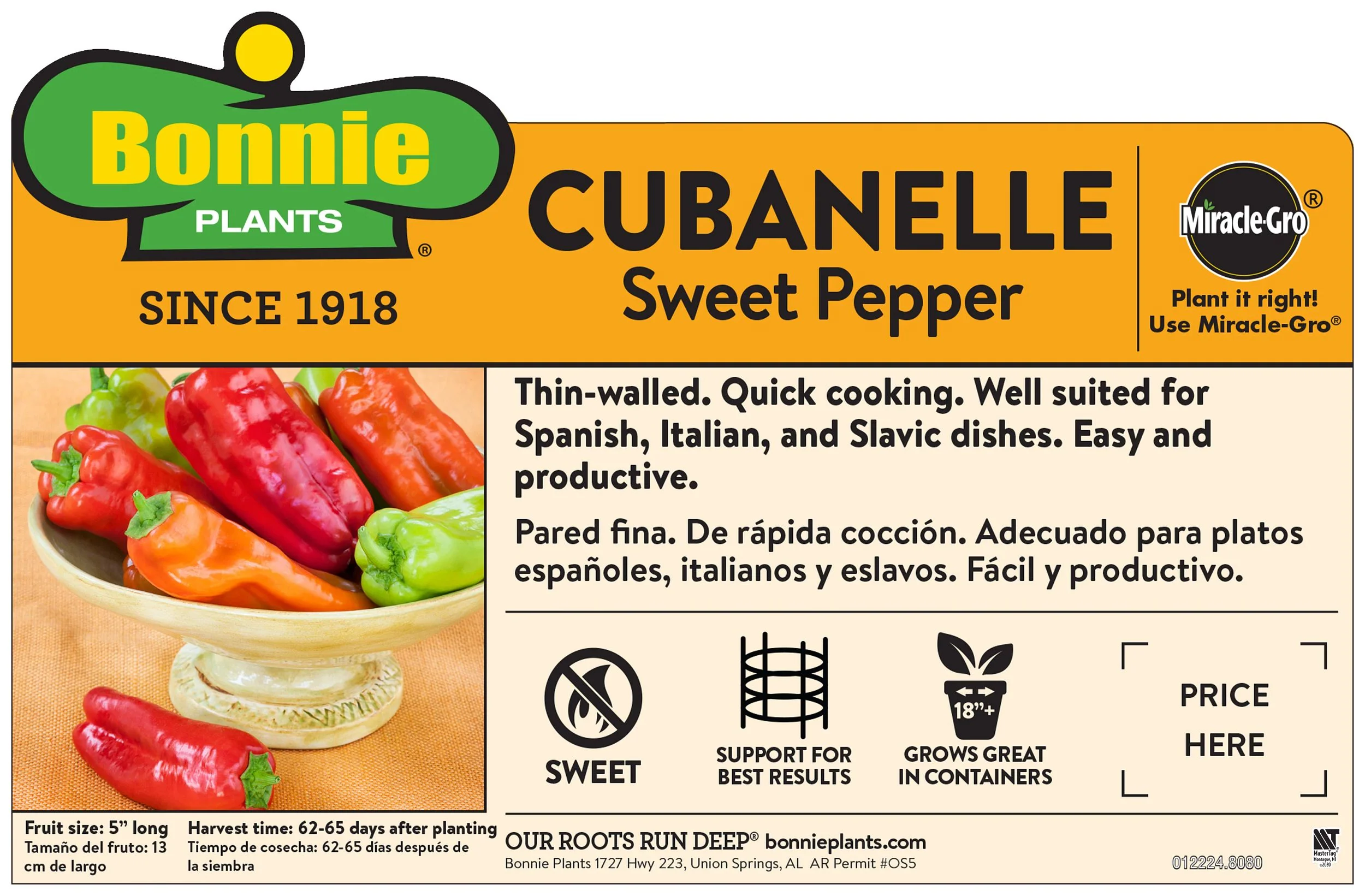 Cubanelle Pepper (2 Pack) - Image 3