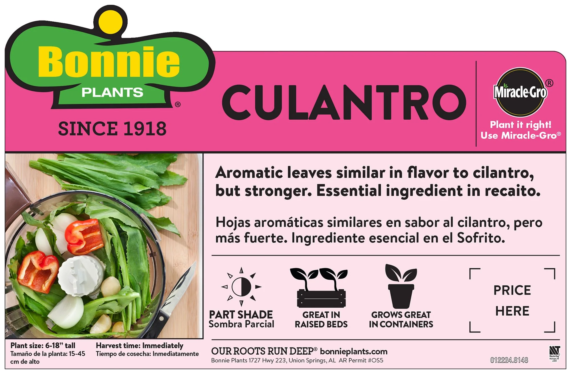 Culantro (2 Pack) - Image 3