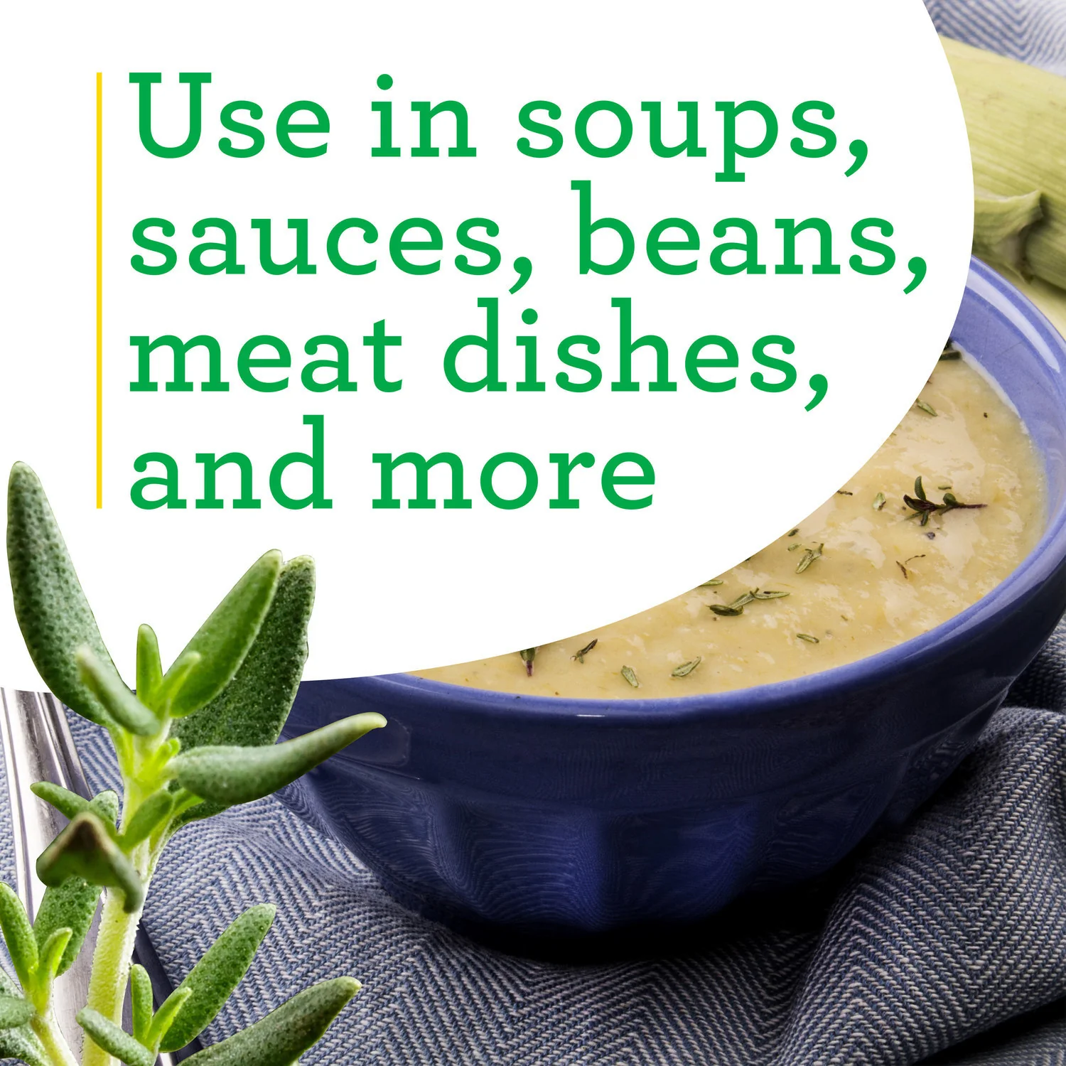English Thyme (2 Pack) - Image 4