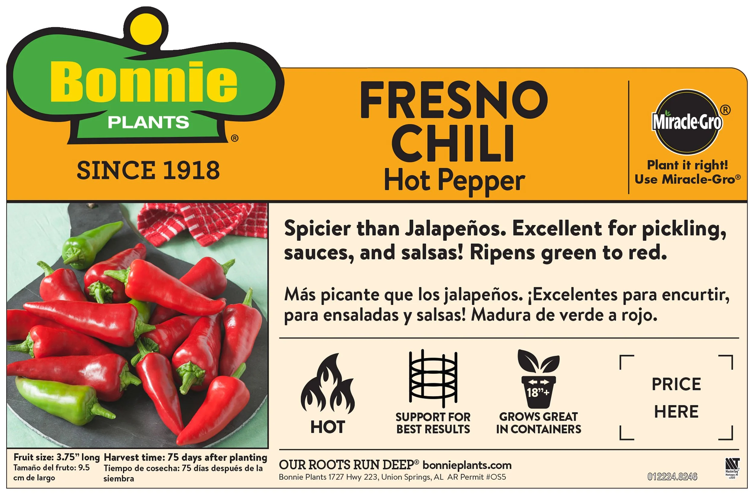 Fresno Chili Pepper (2 Pack) - Image 3