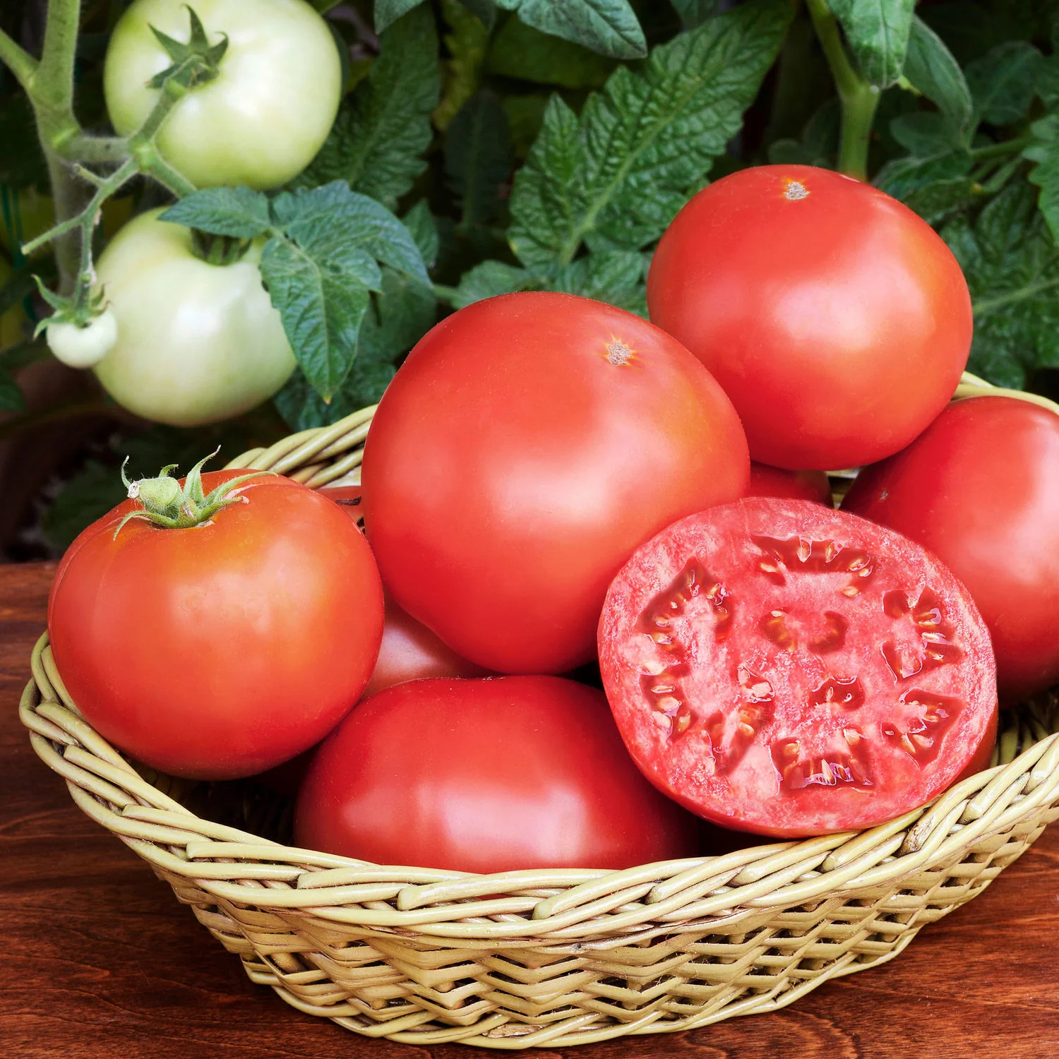 Bush Goliath Tomato (2 Pack) - Image 3