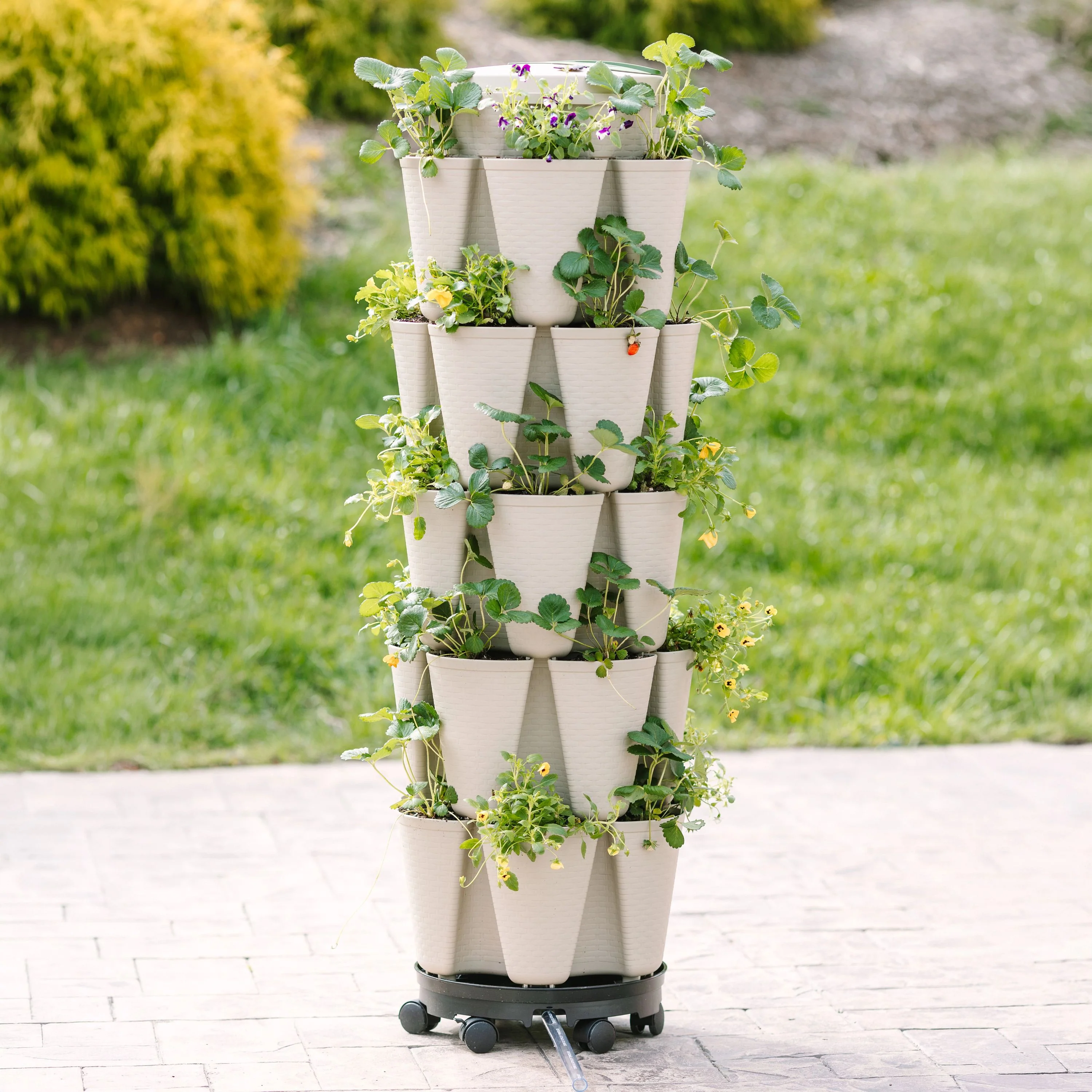 Bonnie's Bundle - Stunning Stone Basket Weave - Image 3