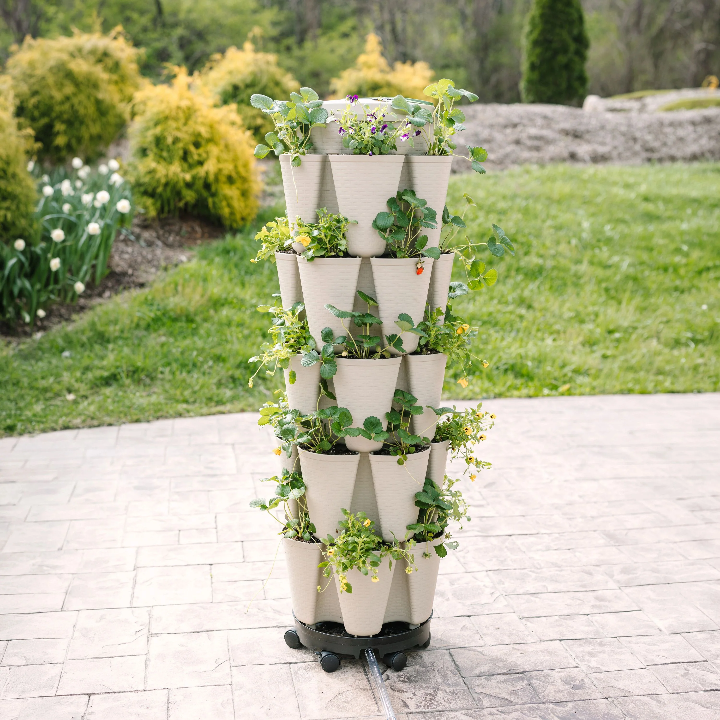 Bonnie's Bundle - Stunning Stone Basket Weave - Image 6