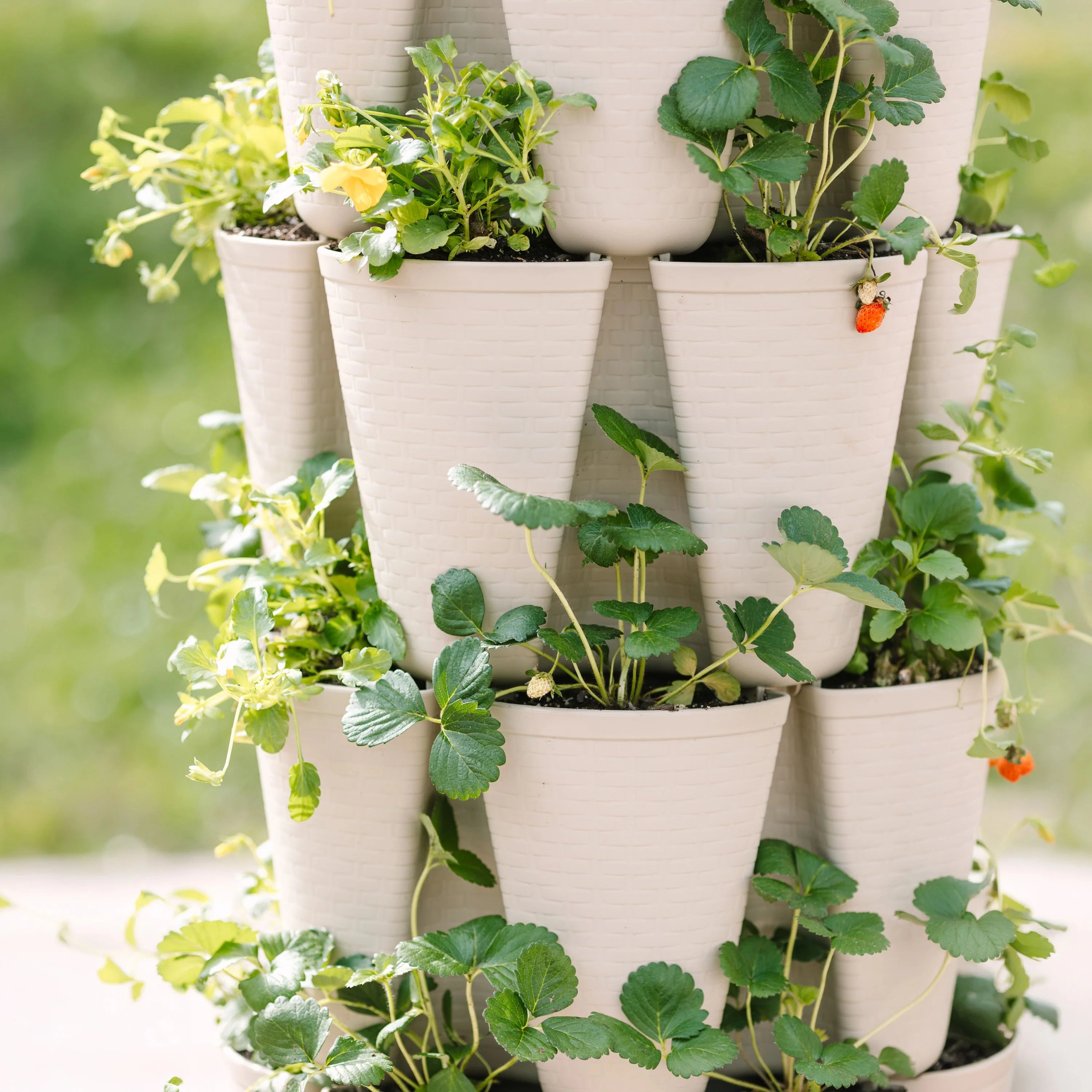 Bonnie's Bundle - Stunning Stone Basket Weave - Image 8