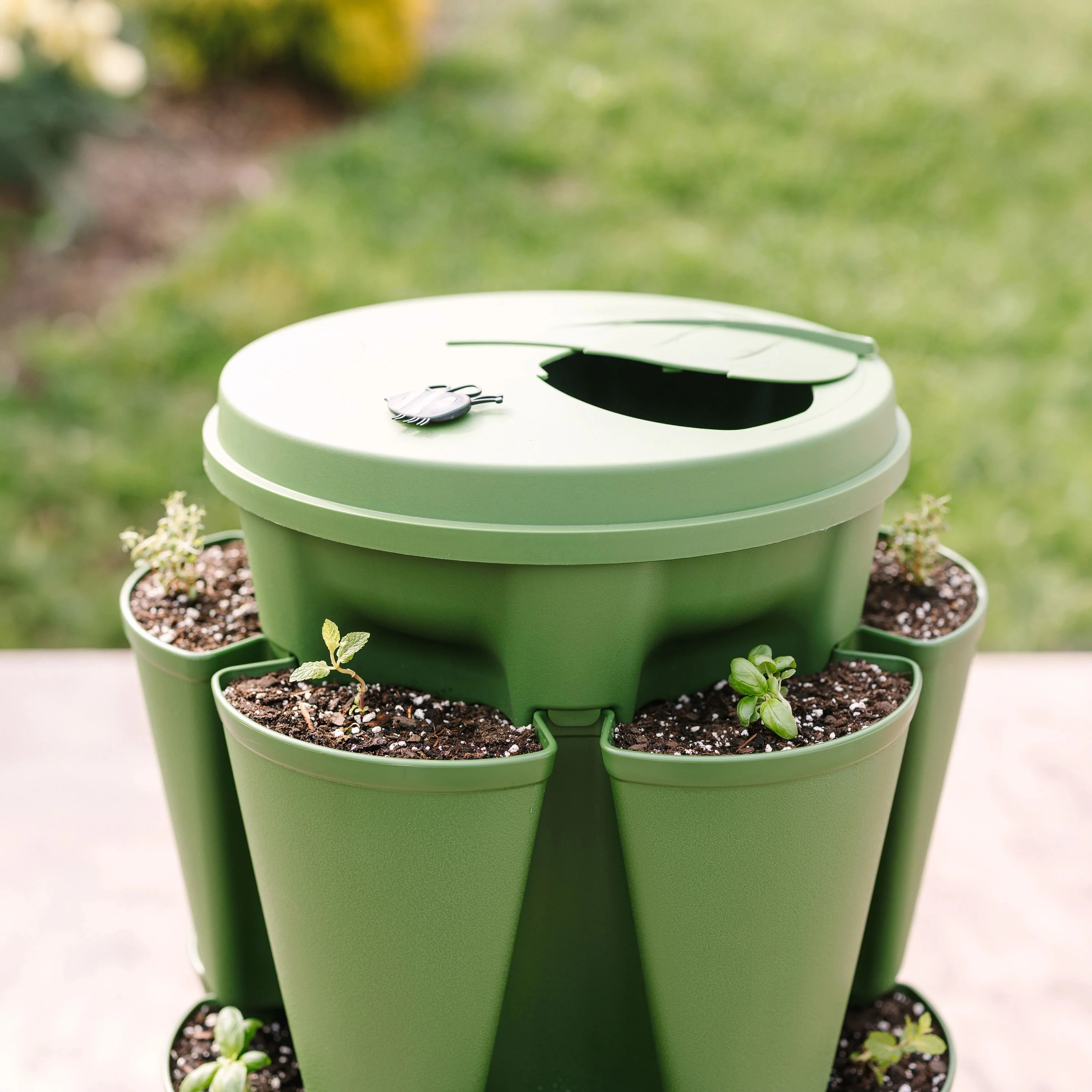 Bonnie's Bundle - Evergreen Basic - Image 8
