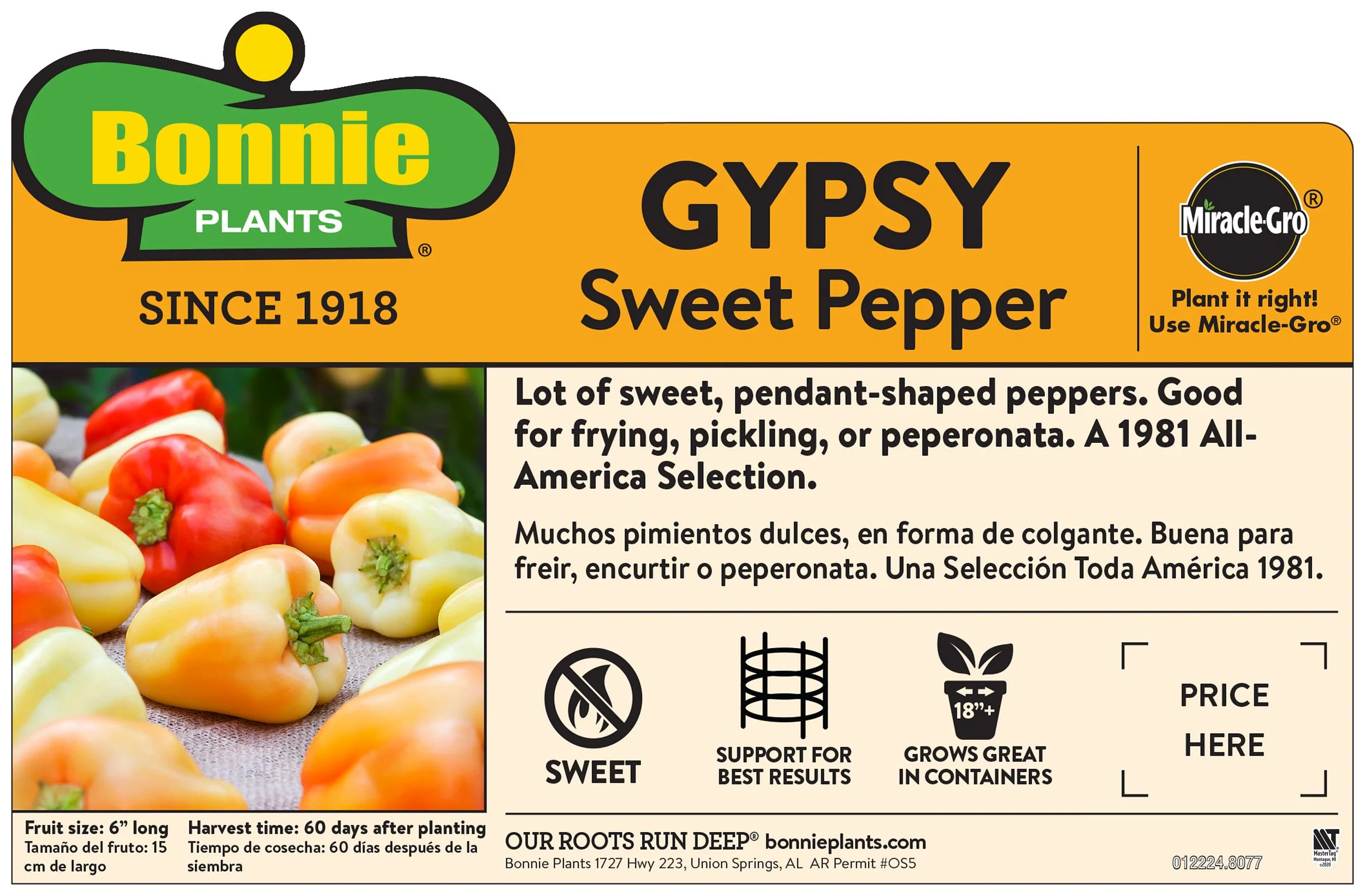 Gypsy Pepper (2 Pack) - Image 4
