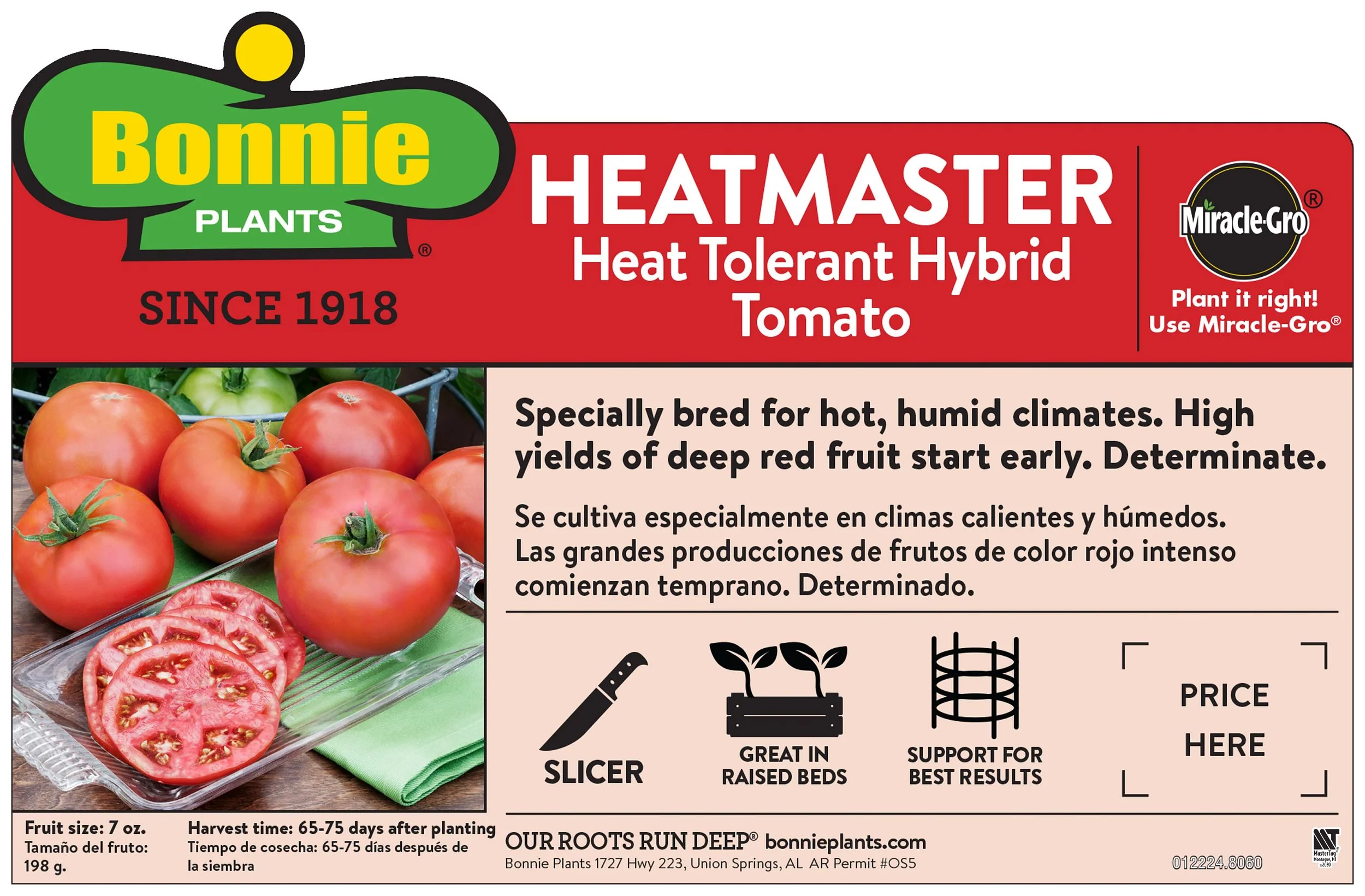 Heatmaster Tomato (2 Pack) - Image 3