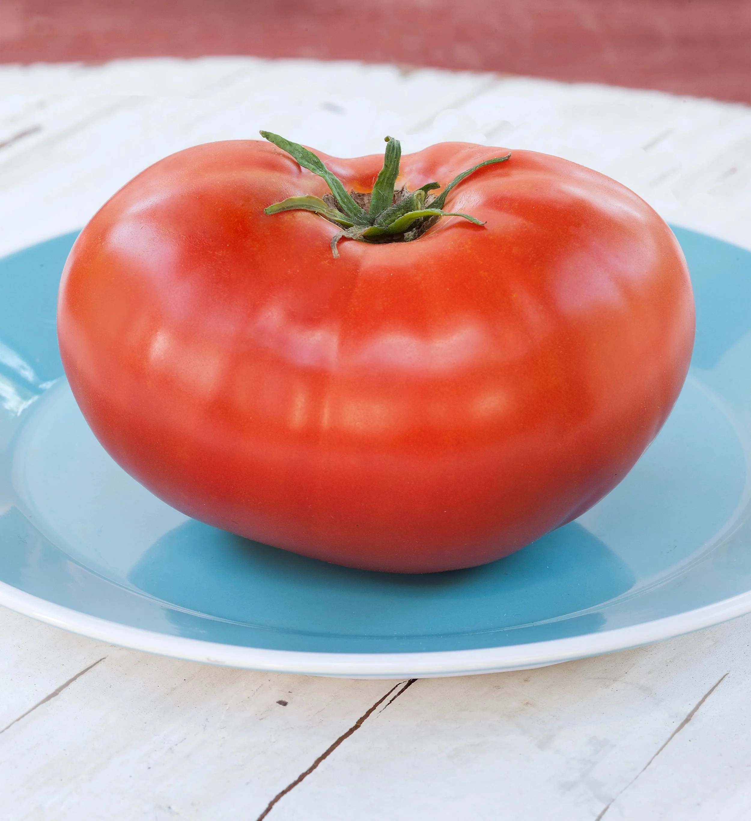 Jet Star Tomato (2 Pack) - Image 3