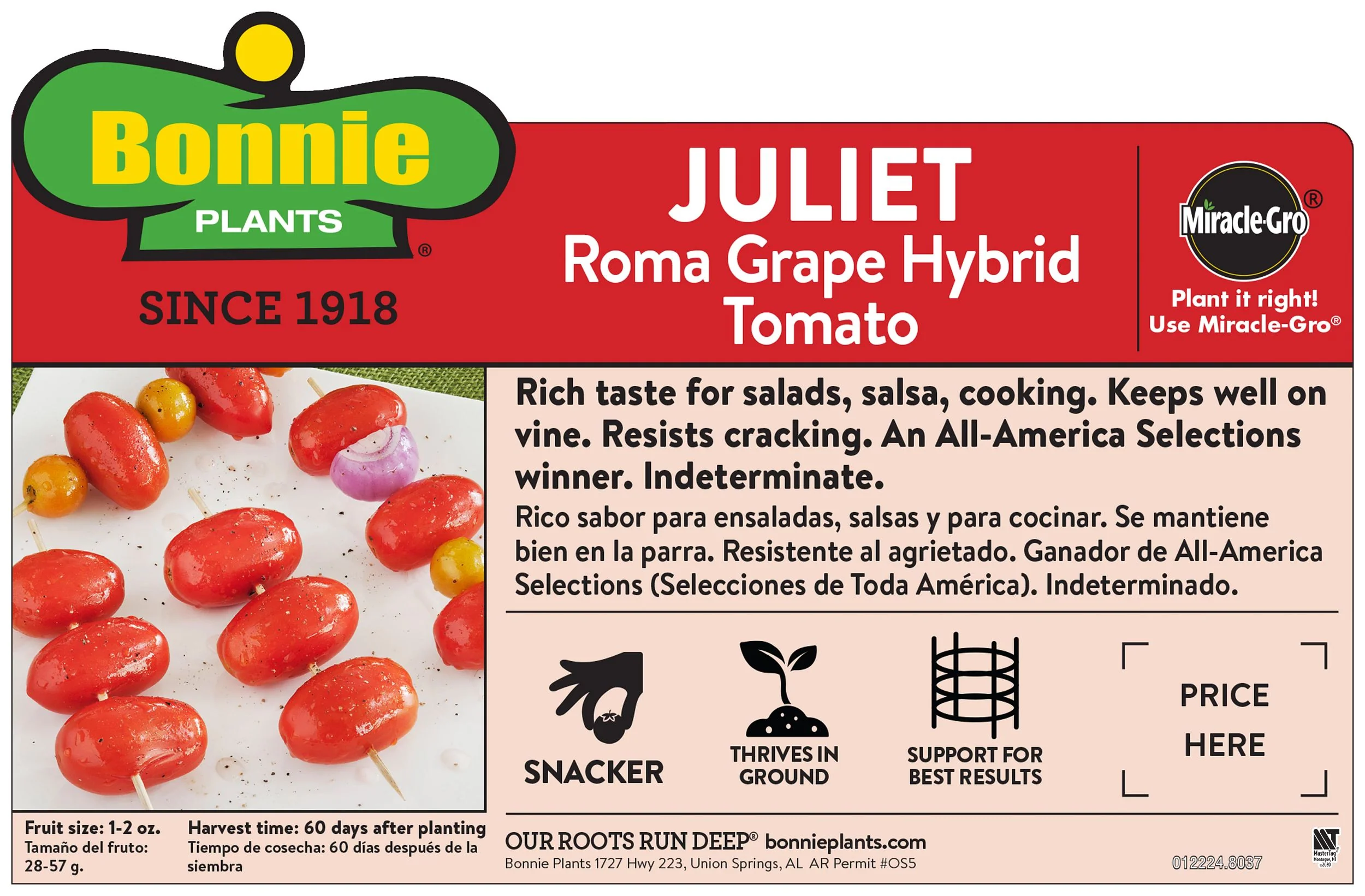 Juliet Tomato (2 Pack) - Image 3