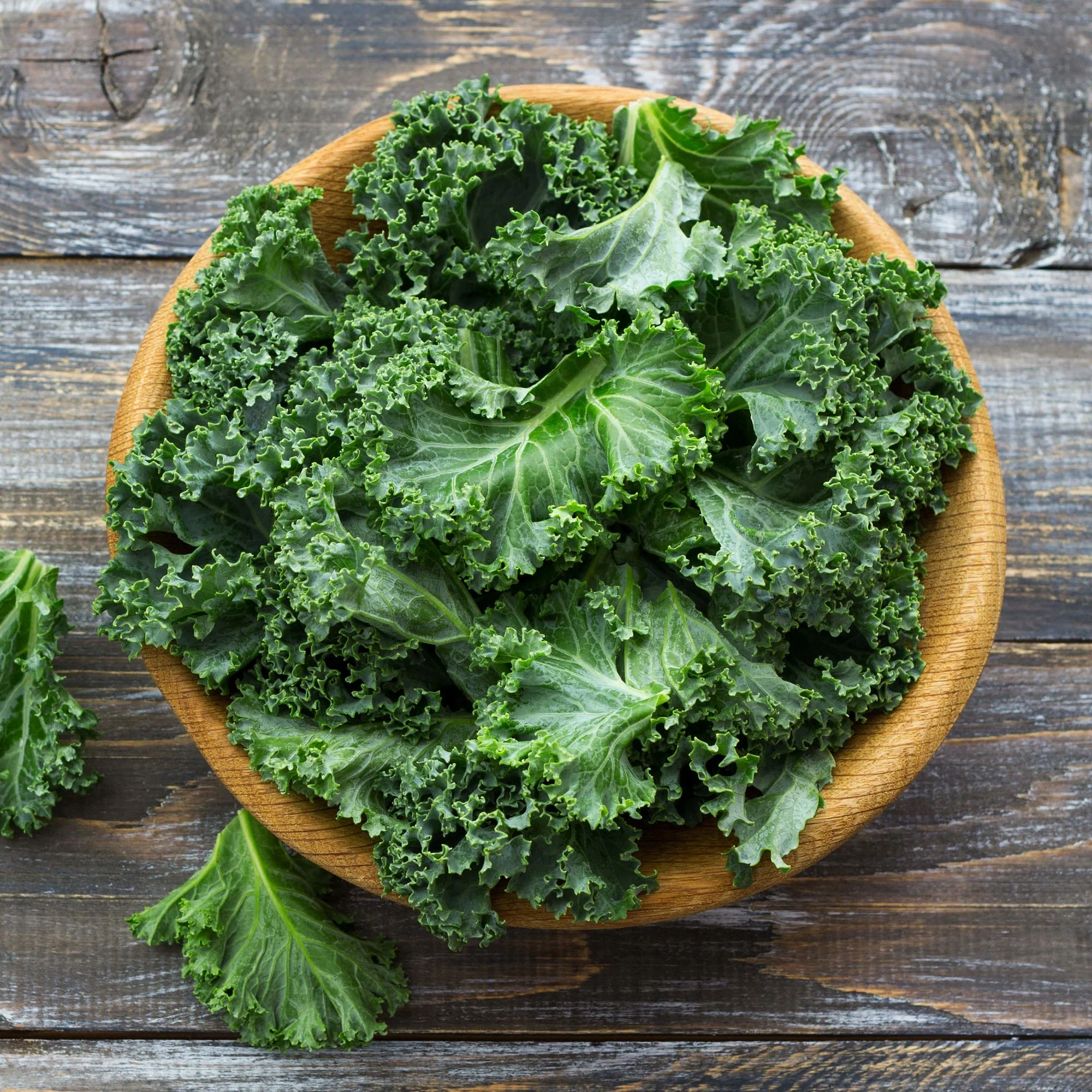 Curly Kale (2 Pack) - Image 3