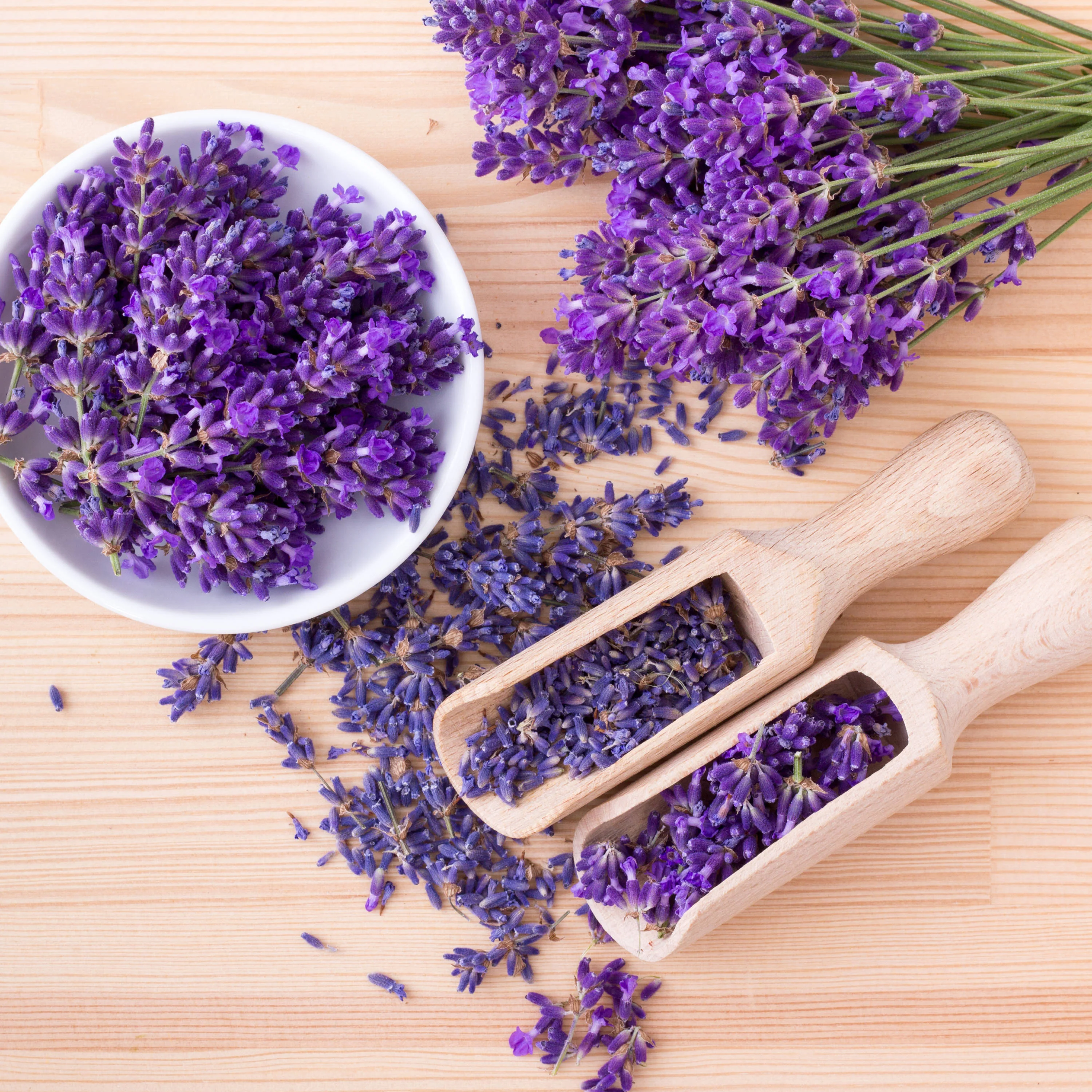 Lavender - Image 3