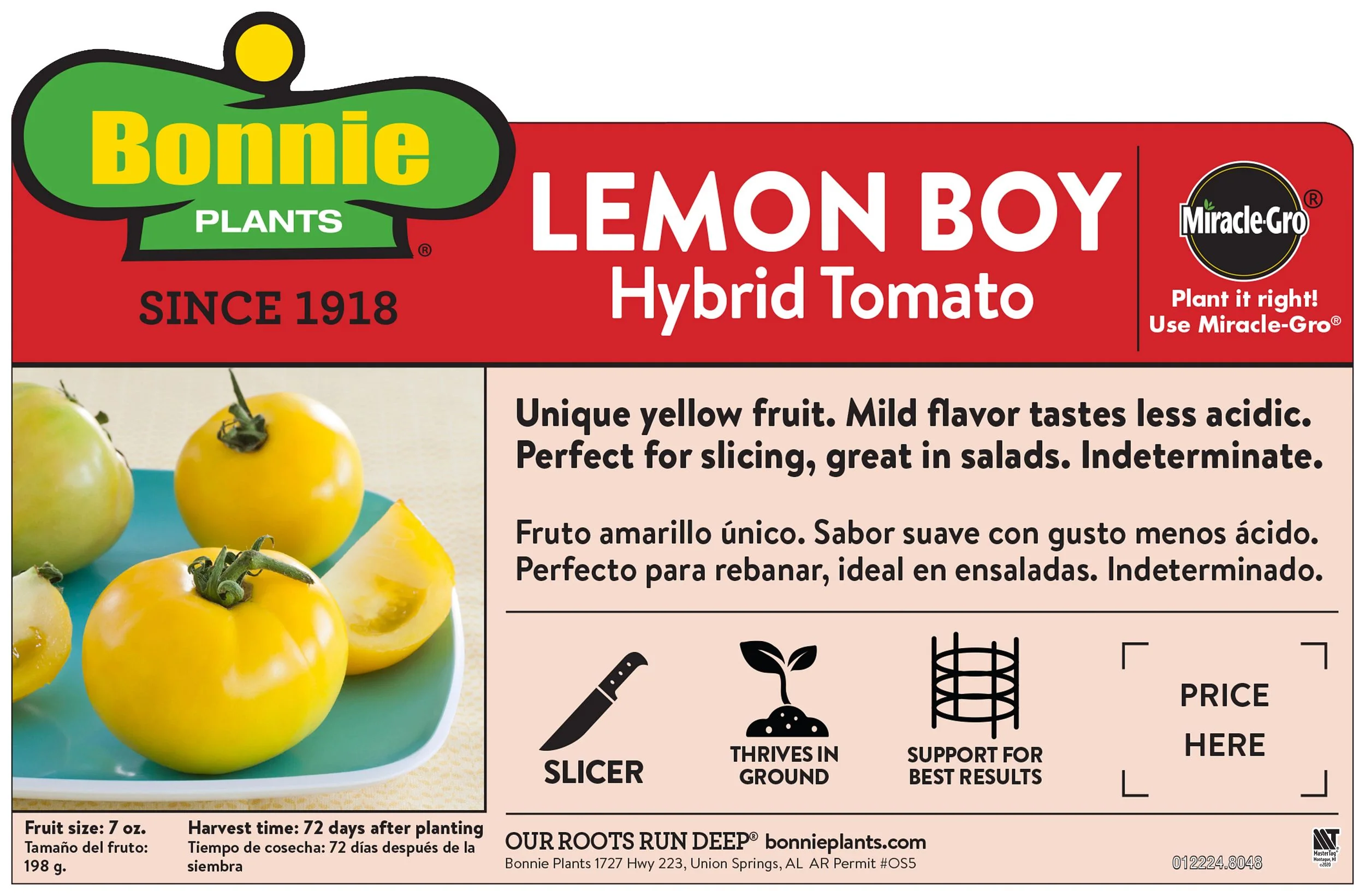 Lemon Boy Tomato (2 Pack) - Image 3