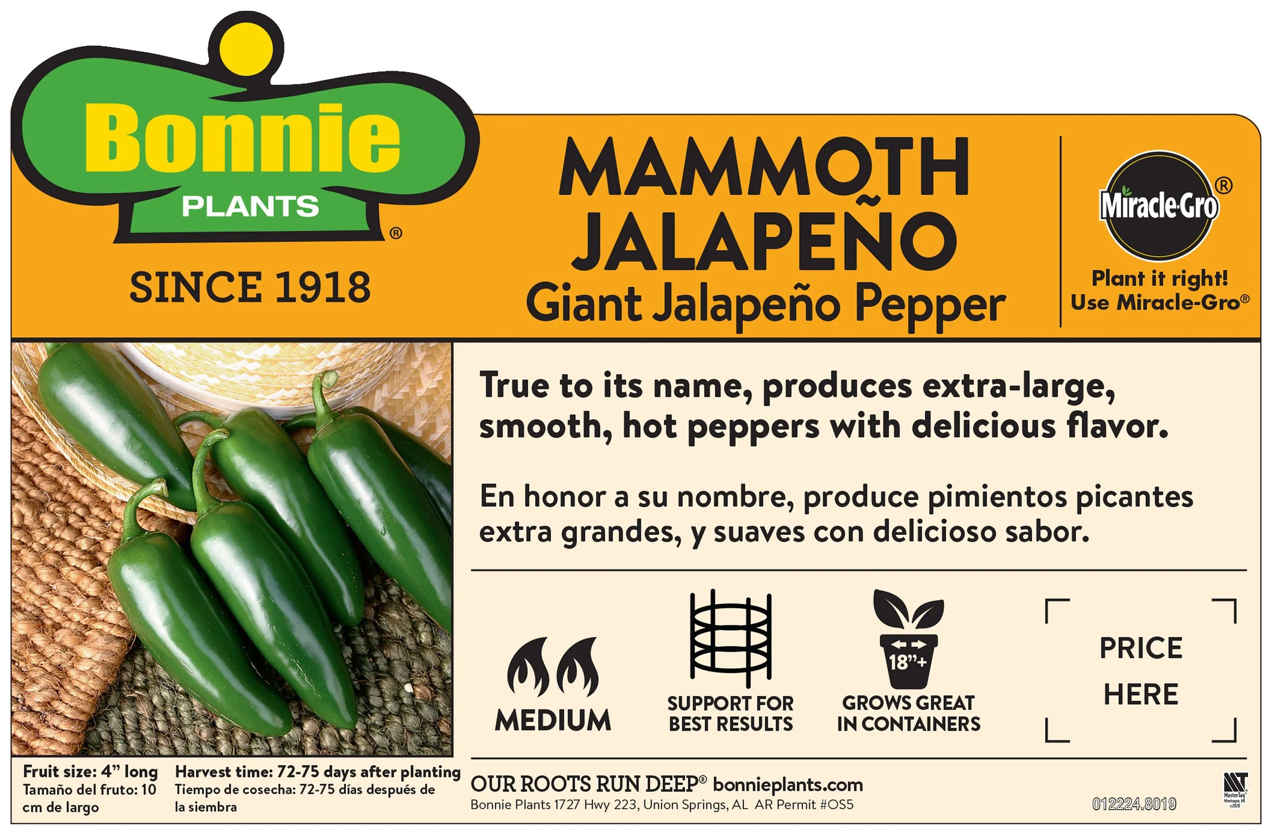 Mammoth Jalapeño Pepper (2 Pack)