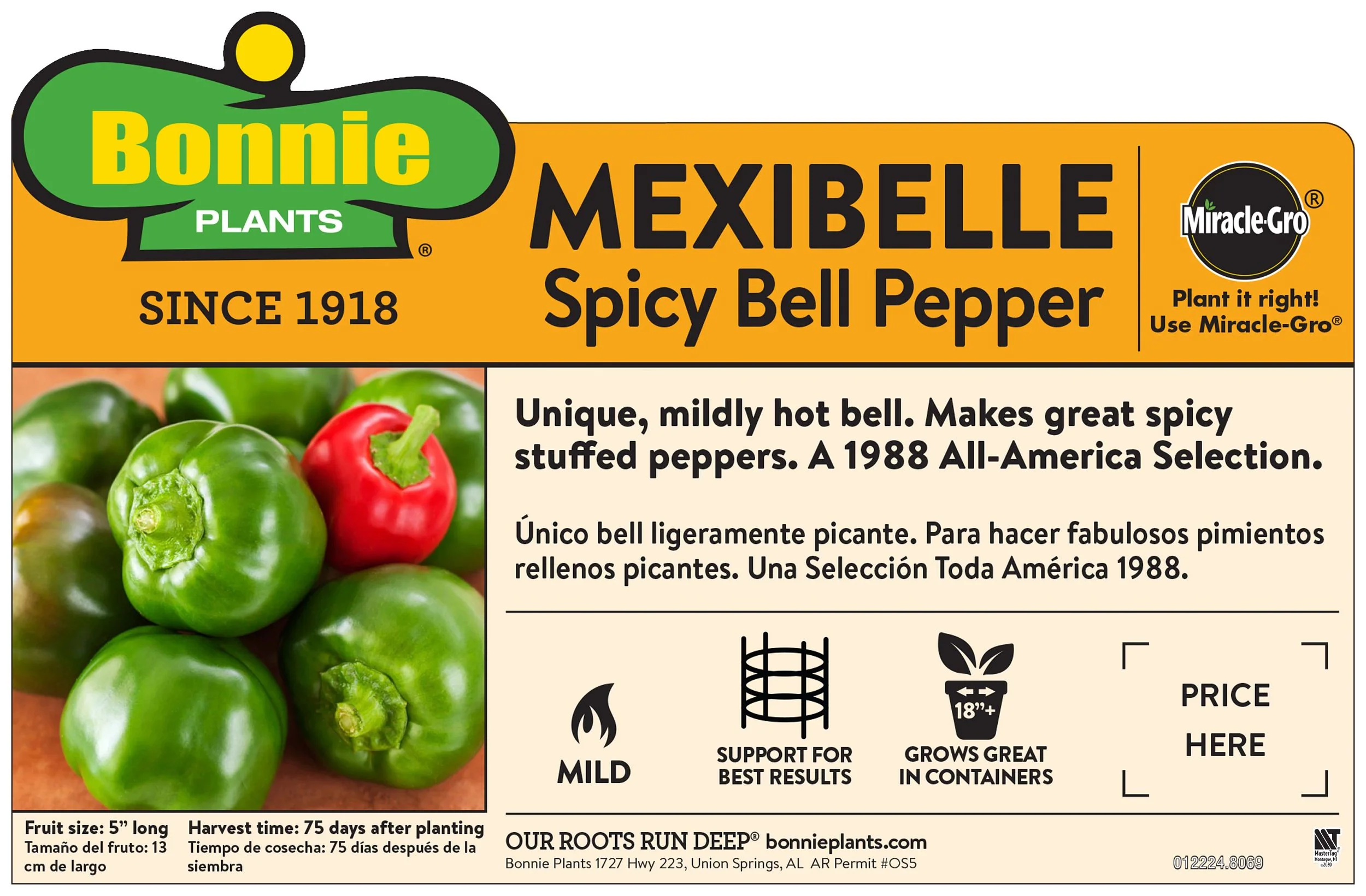Mexibell Pepper (2 Pack) - Image 3