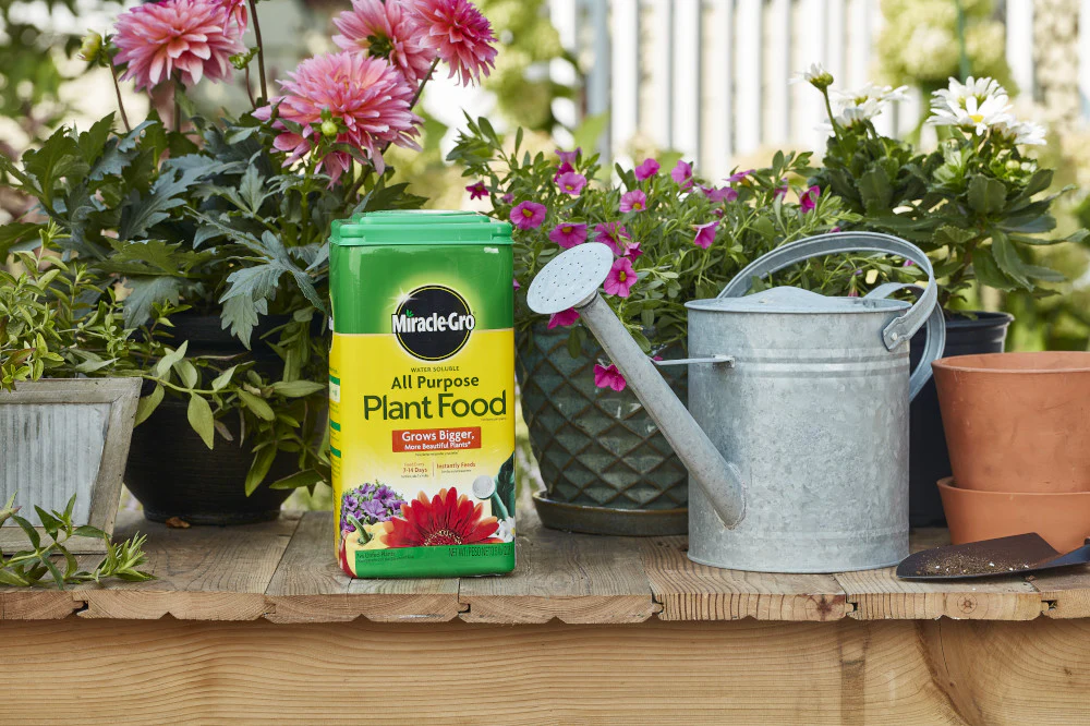 Miracle-Gro® Water Soluble All Purpose Plant Food 5LB - Image 3