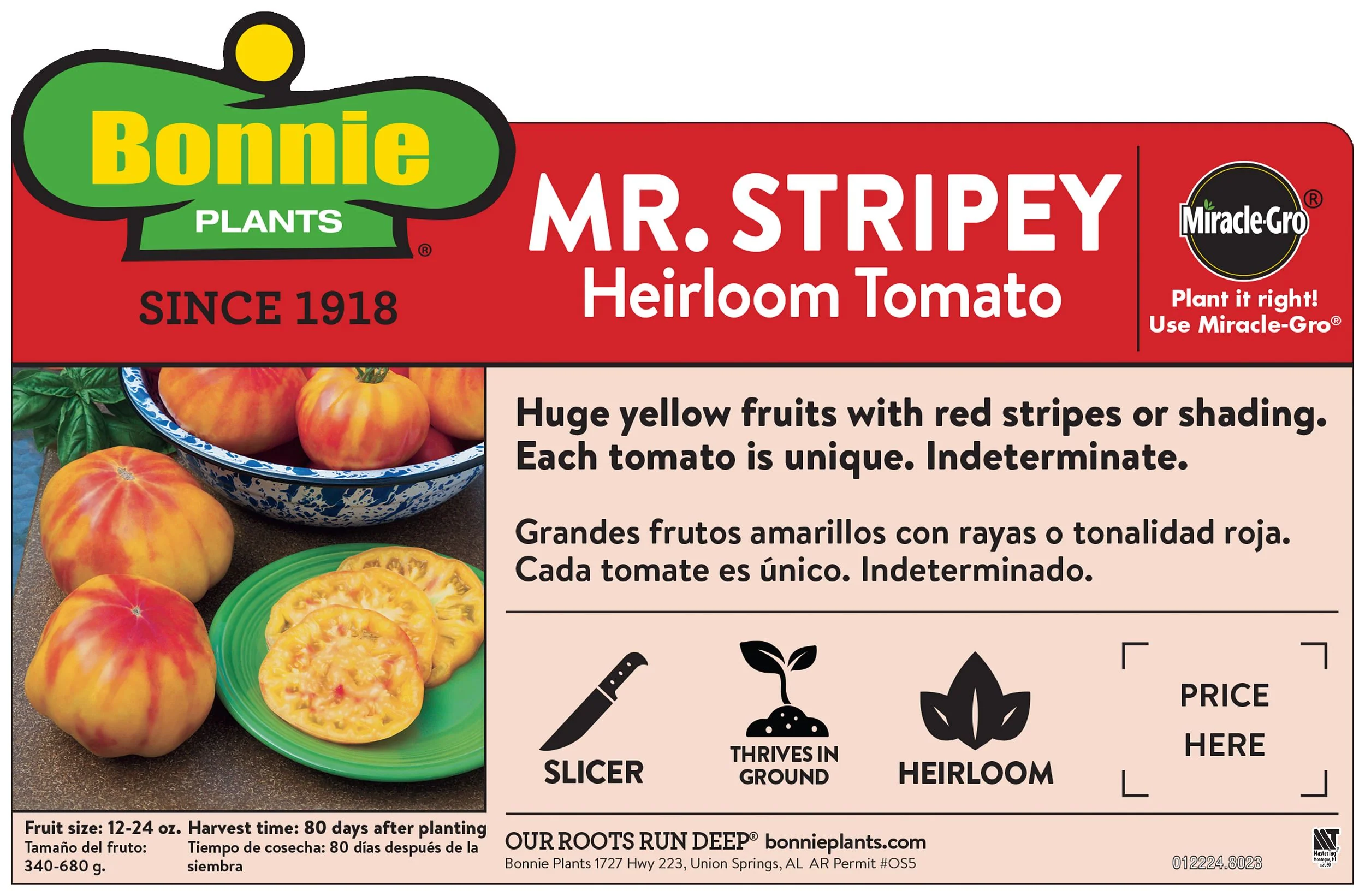 Mr. Stripey Heirloom Tomato (2 Pack) - Image 4