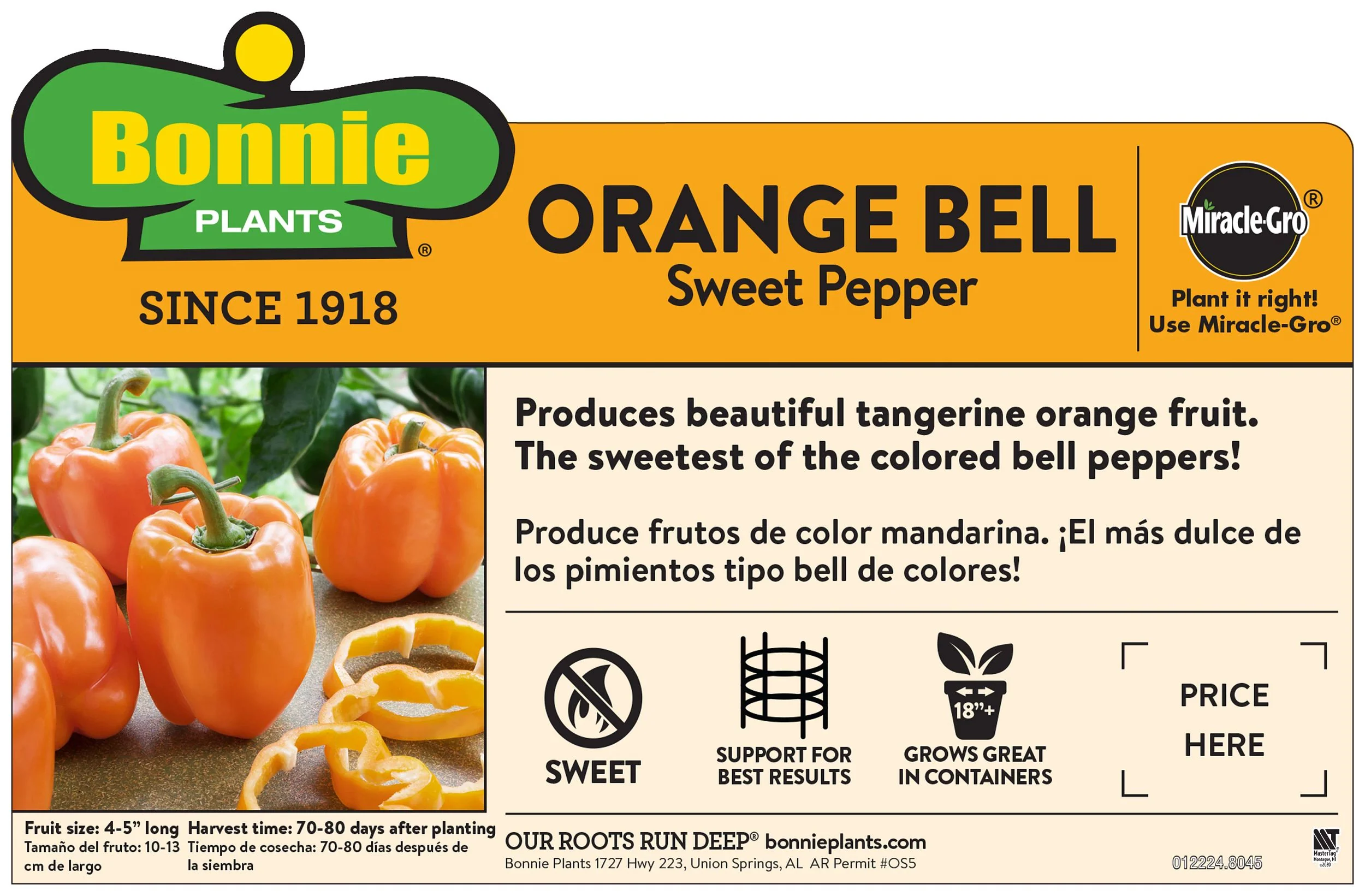 Orange Bell Pepper (2 Pack) - Image 4