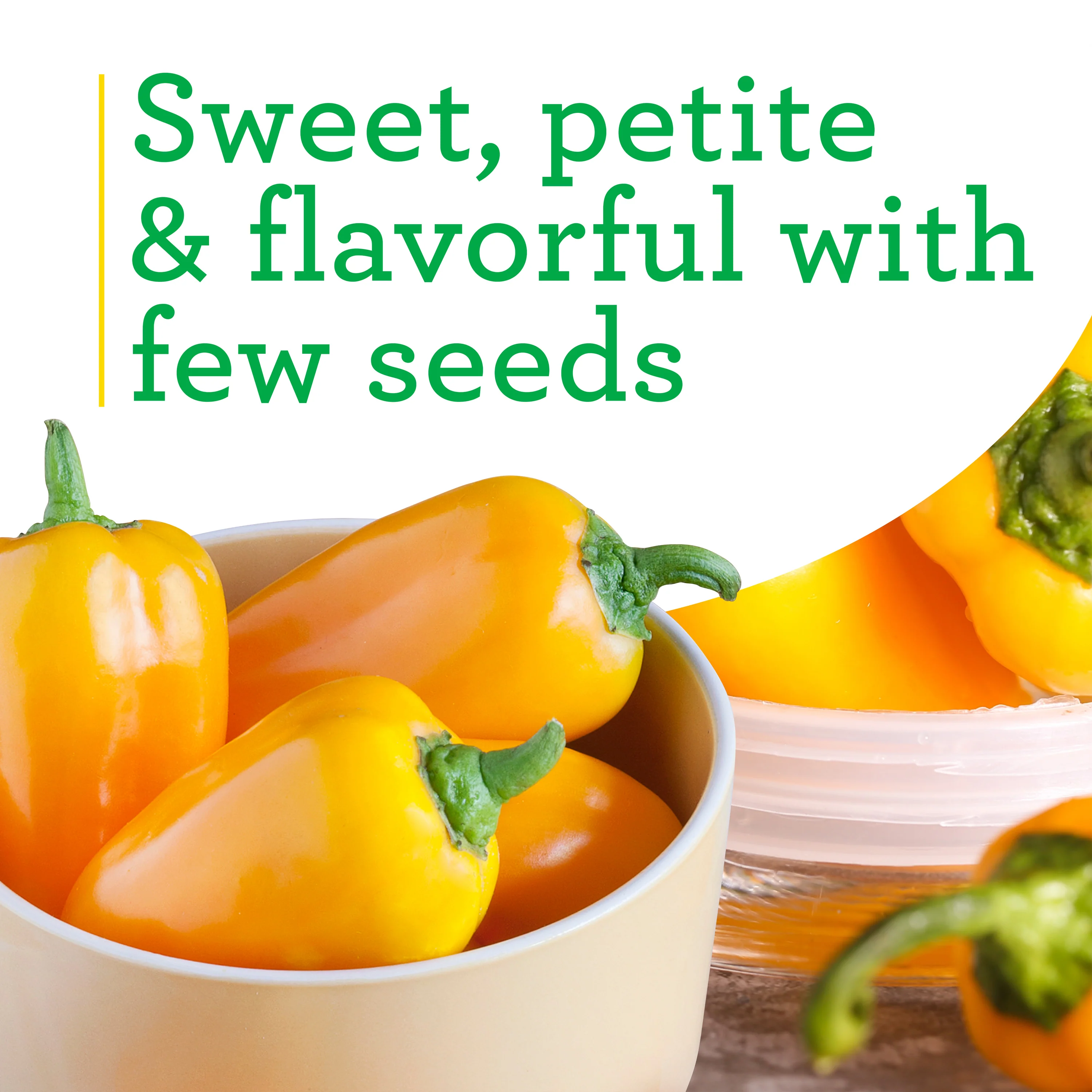 Orange Snacking Pepper (2 Pack) - Image 4