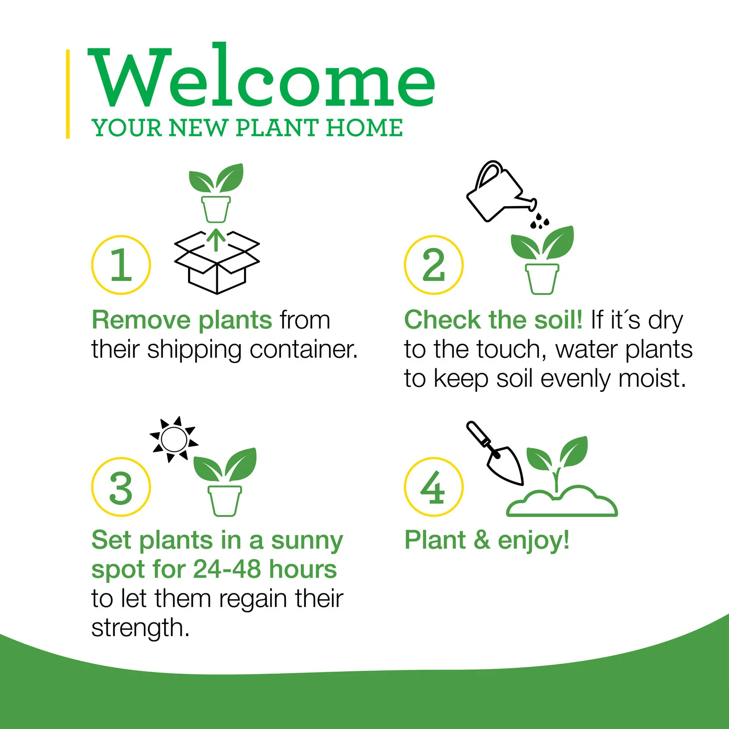 Italian Flat Parsley (2 Pack) - Image 9