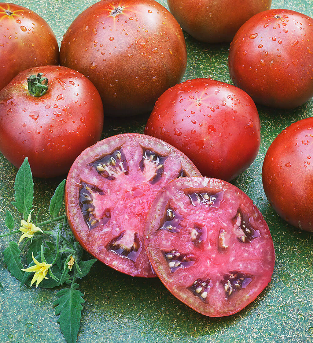 Black Prince Heirloom Tomato (2 Pack)