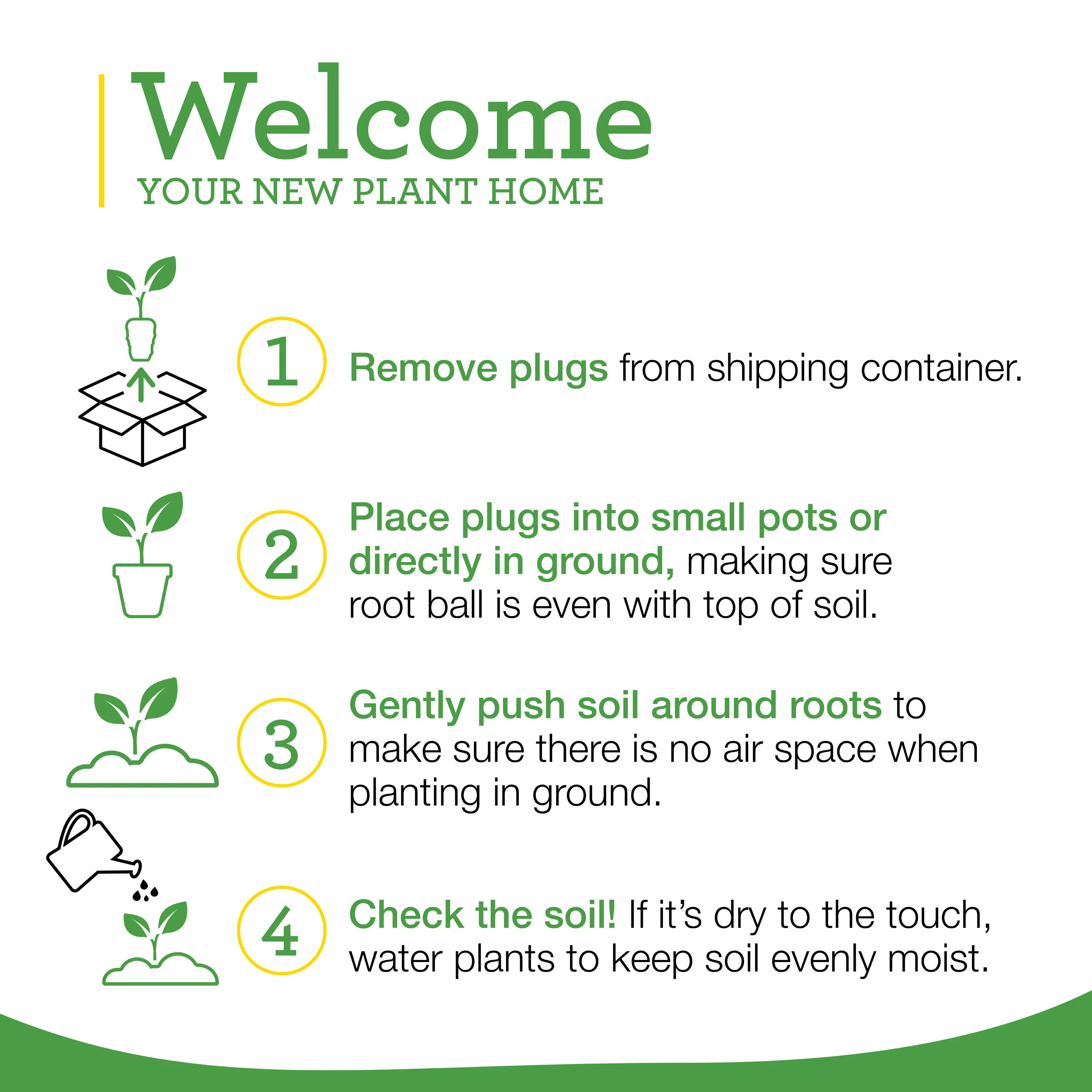 Thyme Plugs (3 Pack) - Image 8
