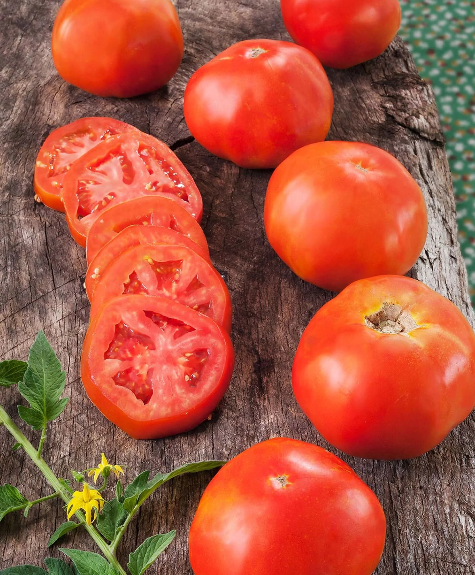Rutgers Heirloom Tomato (2 Pack)