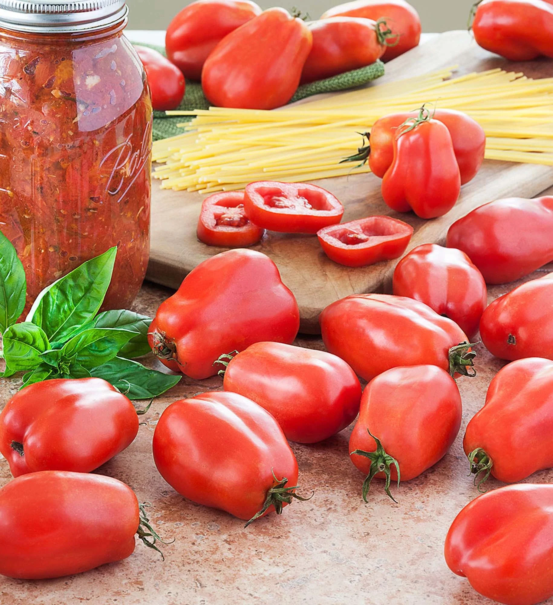 San Marzano Tomato (2 Pack)