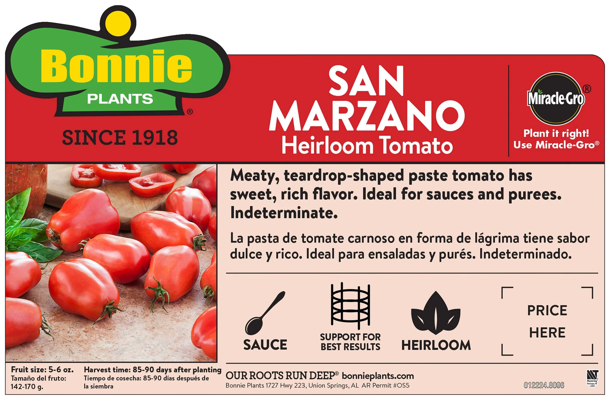 San Marzano Tomato (2 Pack) - Image 3