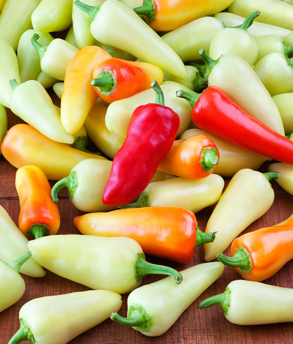 Santa Fe Grande Pepper (2 Pack)