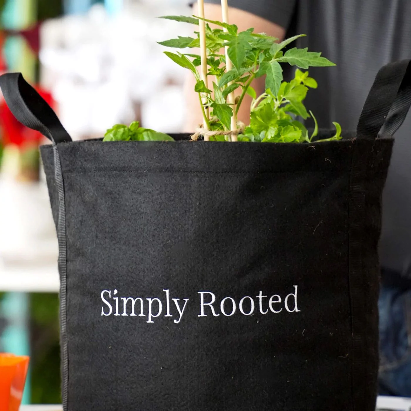Simply Rooted Garden Kit - Image 4
