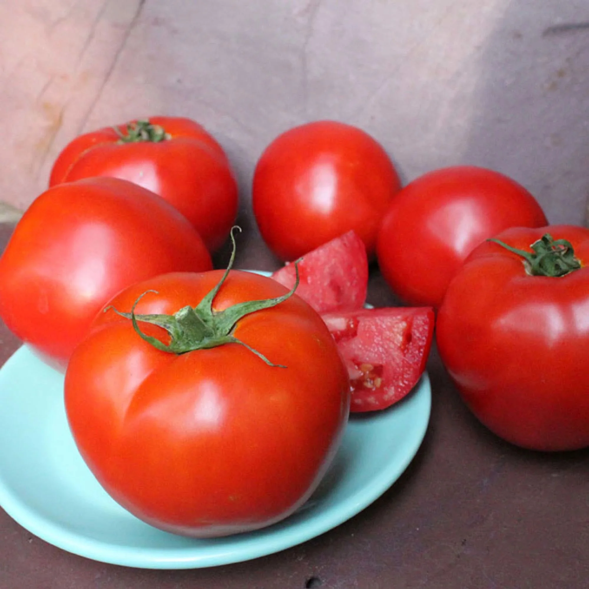 Summer Set Tomato (2 Pack)