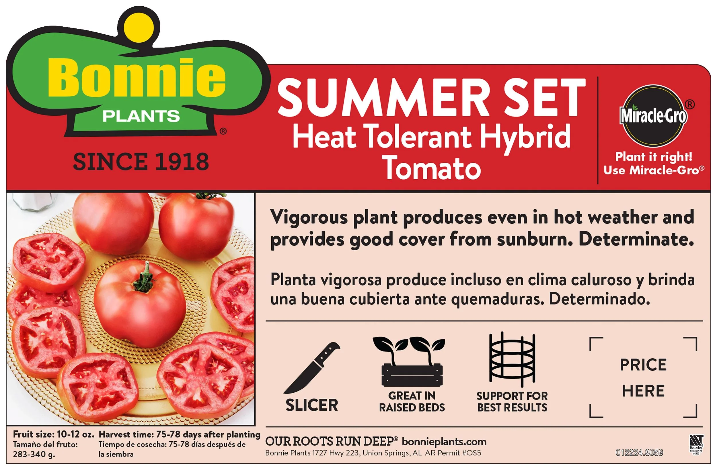Summer Set Tomato (2 Pack) - Image 3