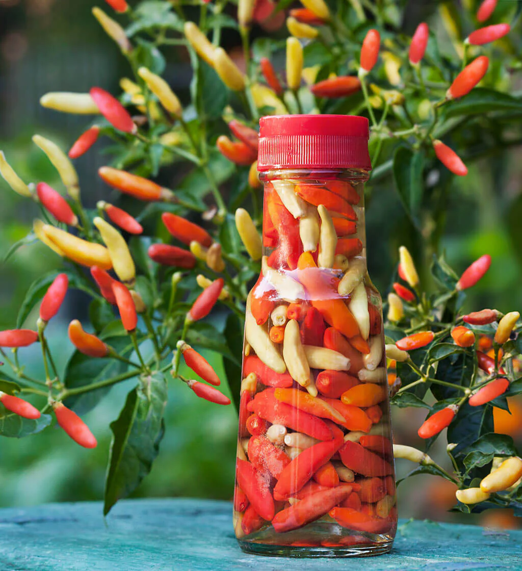 Tabasco Hot Pepper (2 Pack)