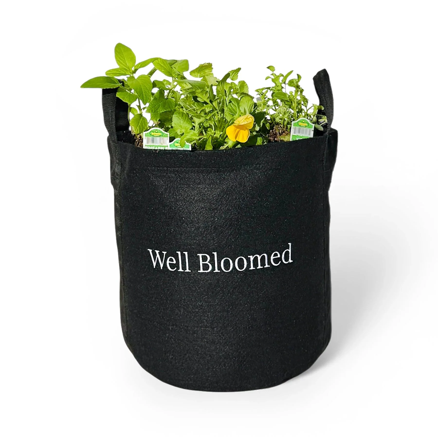Well Bloomed Garden Kit - Image 3