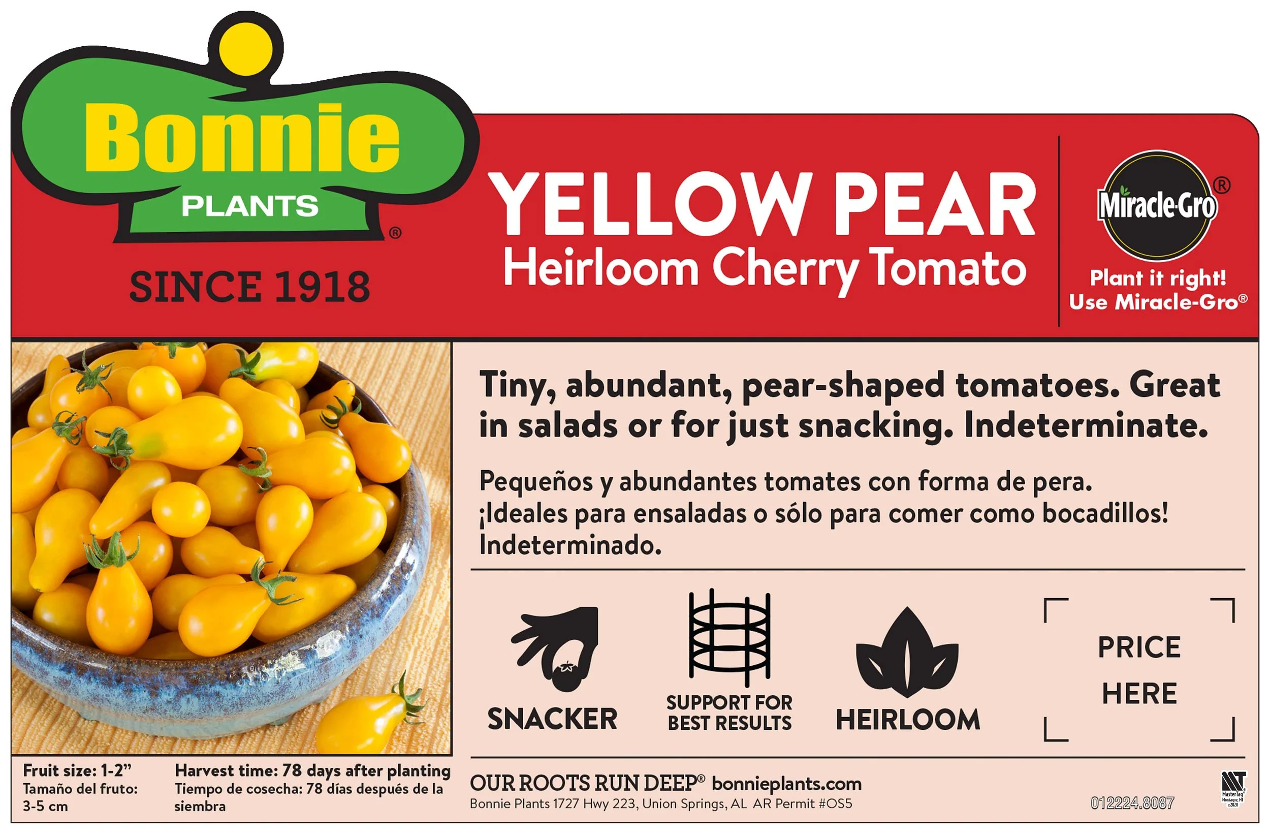 Yellow Pear Heirloom Tomato (2 Pack) - Image 3